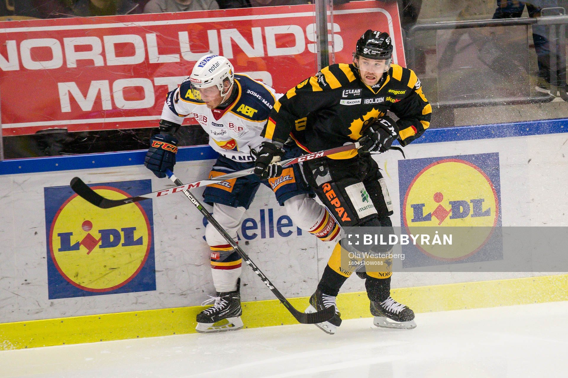 Skellefteås Filip Berglund