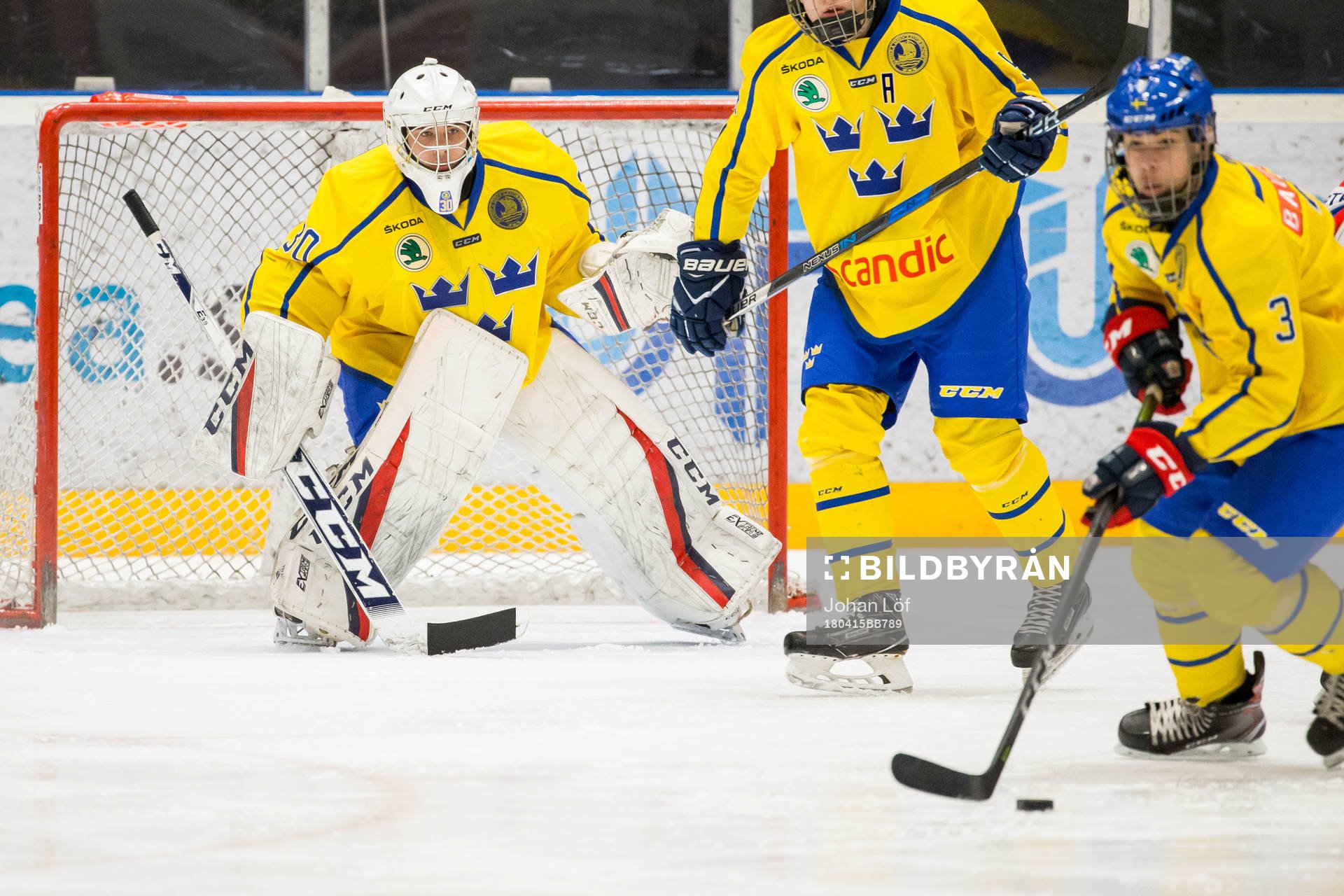 Sveriges Sebastian Trygg