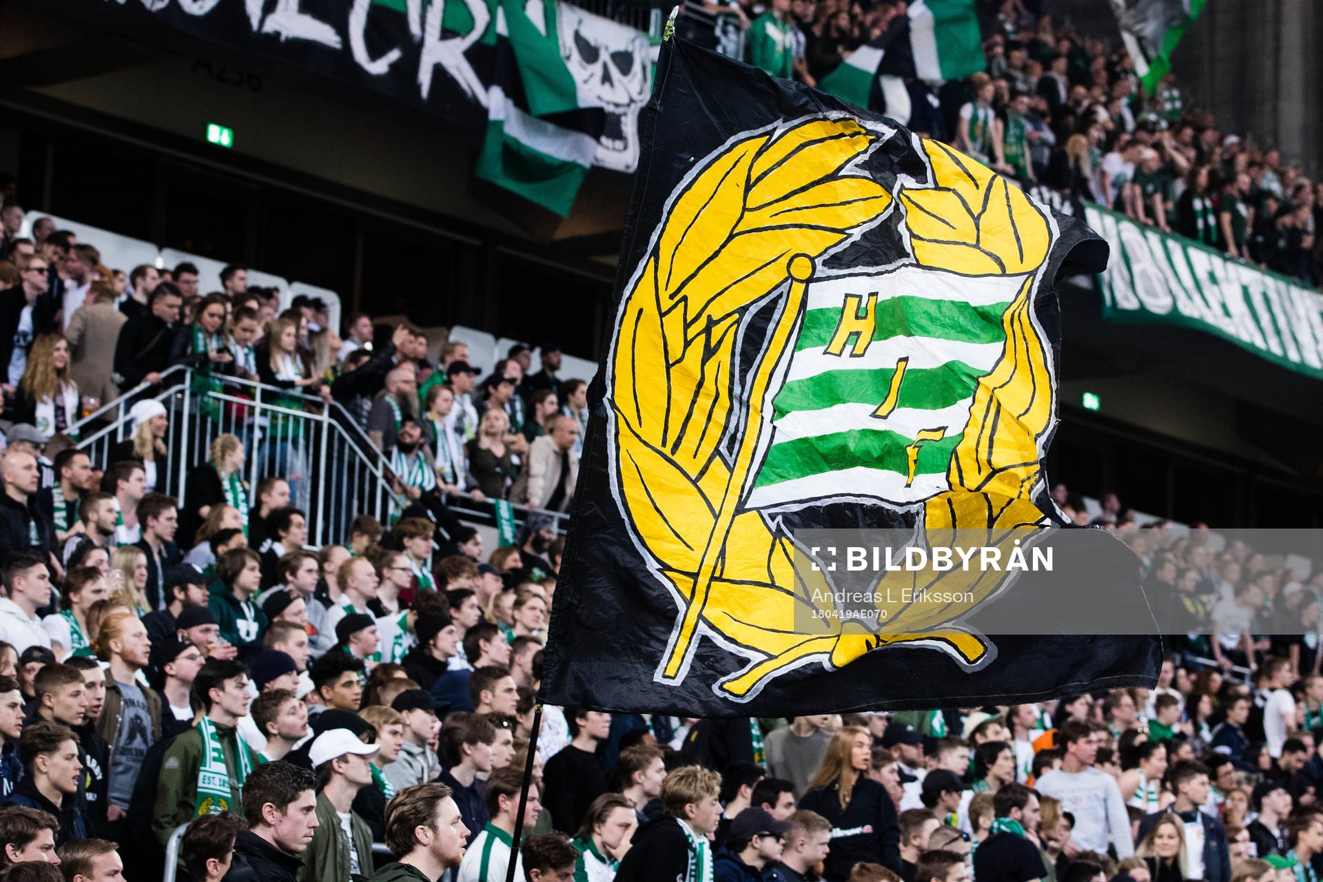 Hammarbys supportrar
