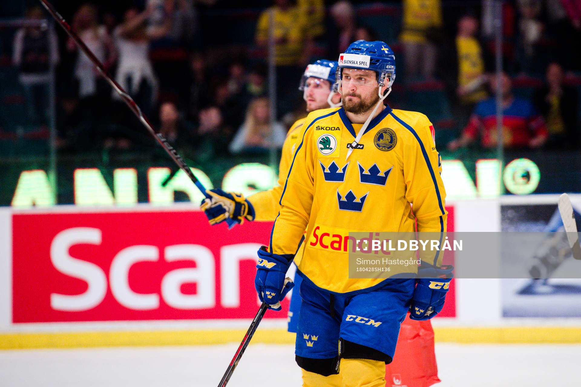 Sveriges Mikael Wikstrand  jublar