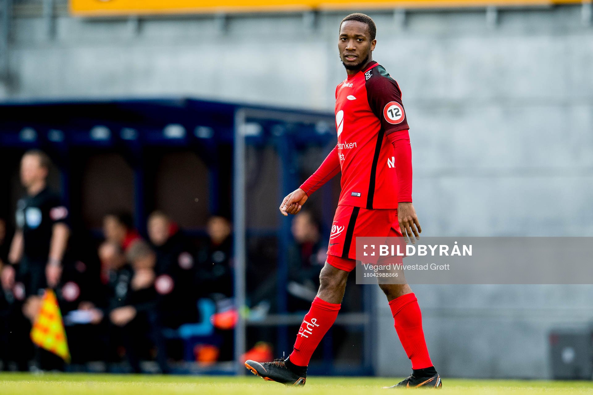 Ludcinio Marengo of Brann