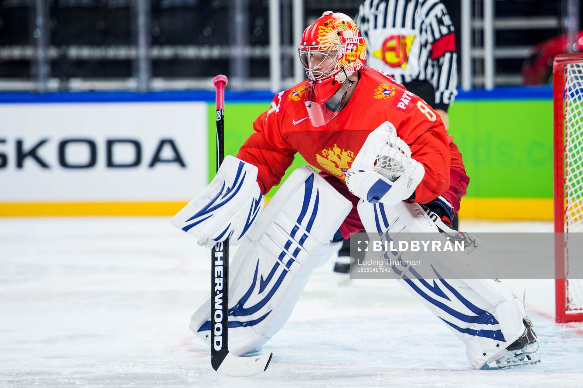 Rysslands målvakt Vasili Koshechkin