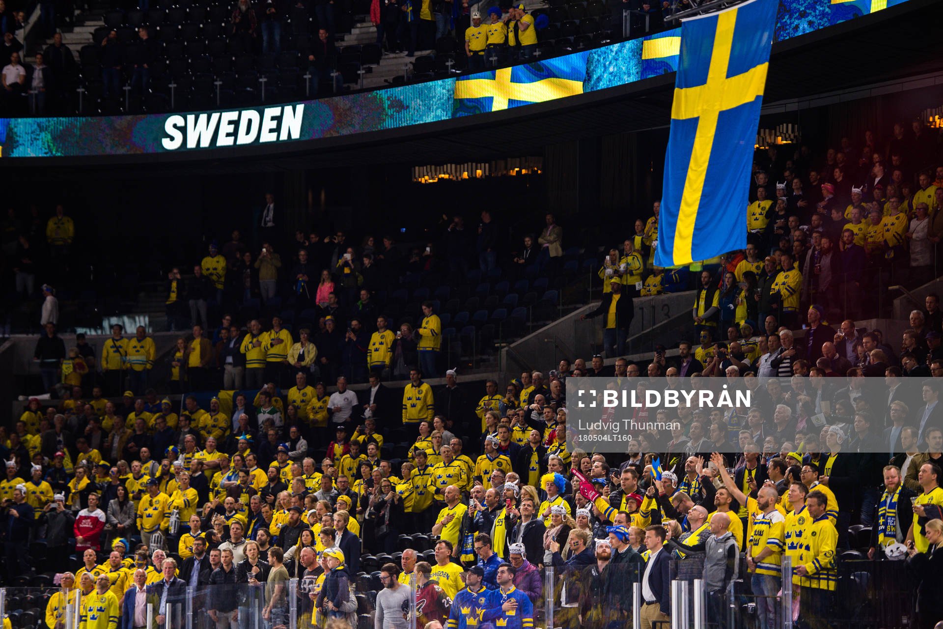 Sveriges supportrar jublar