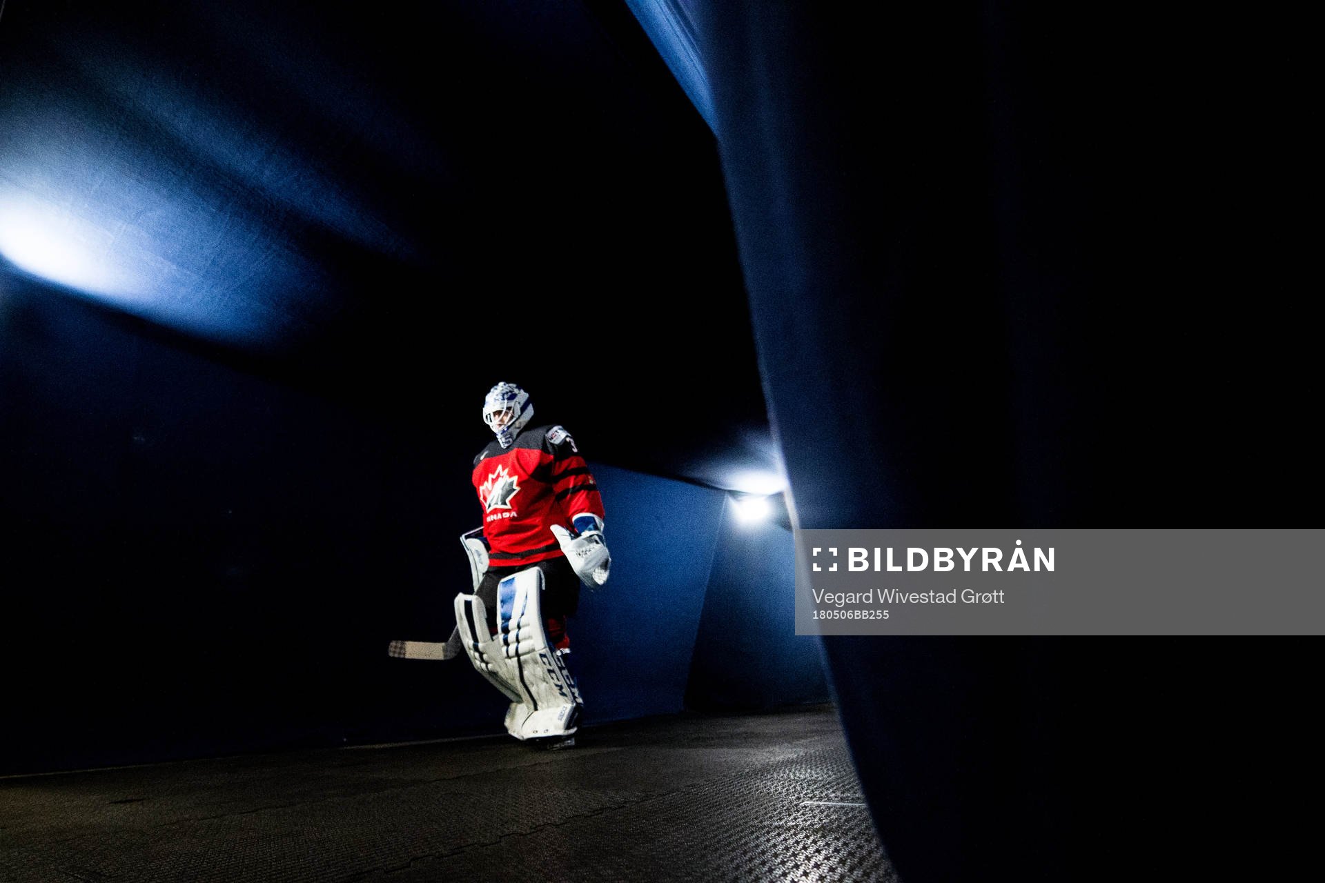 Goaltender Curtis McElhinney of Canada
