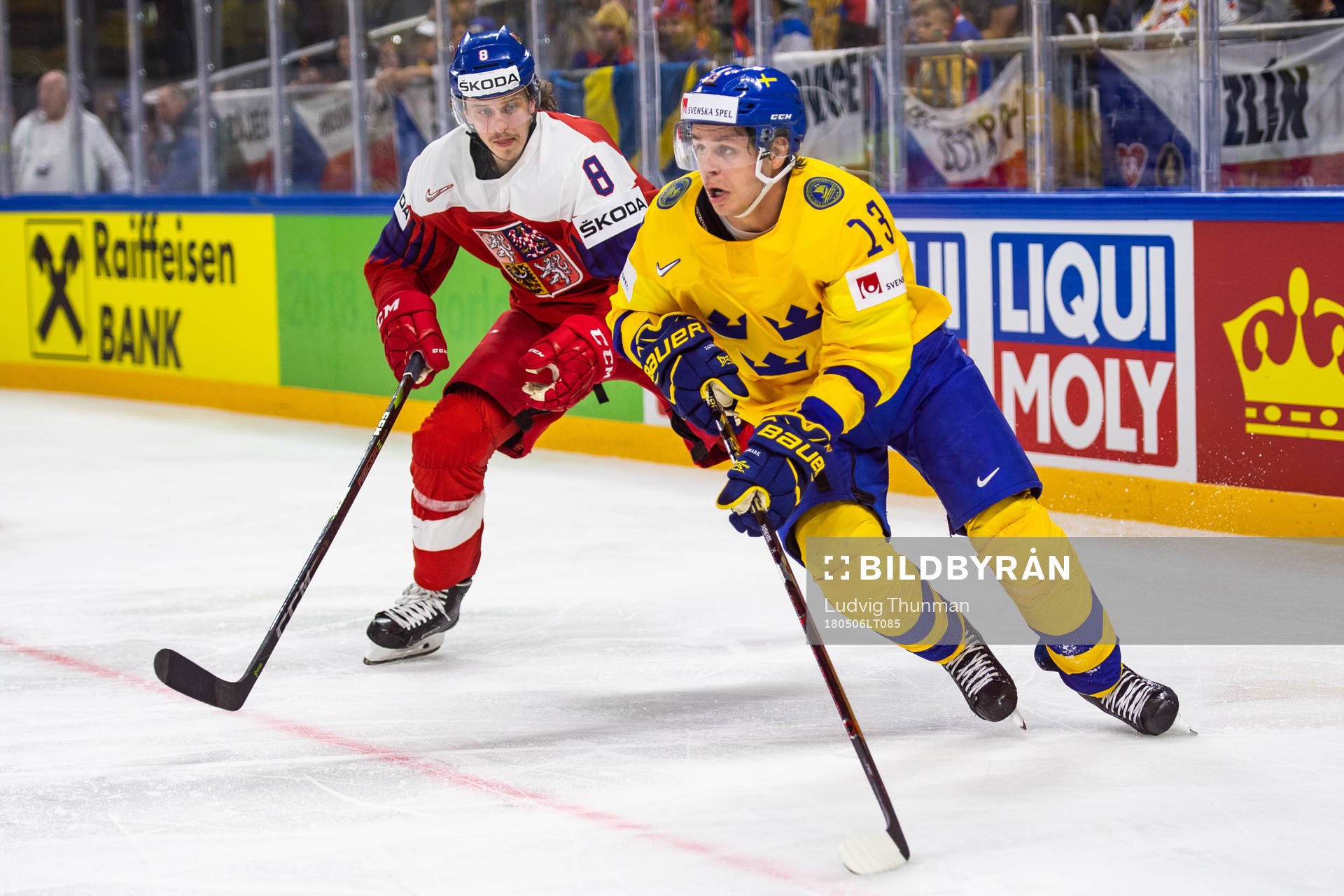 Tjeckiens  Libor Sulak och Sveriges Mattias Janmark
