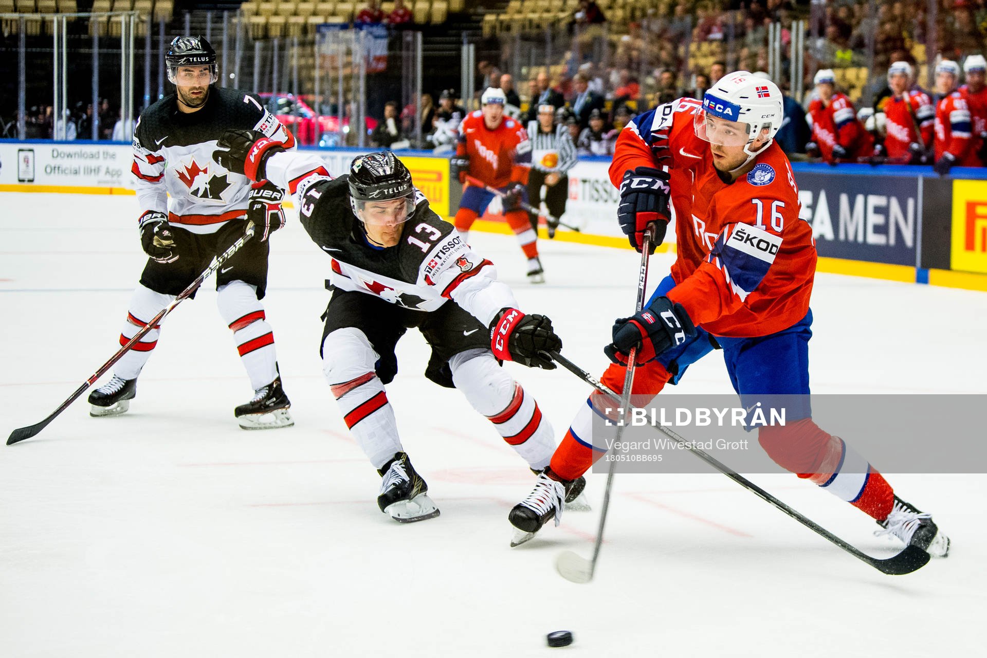Matt Barzal of Canada and Eirik Salsten of Norway