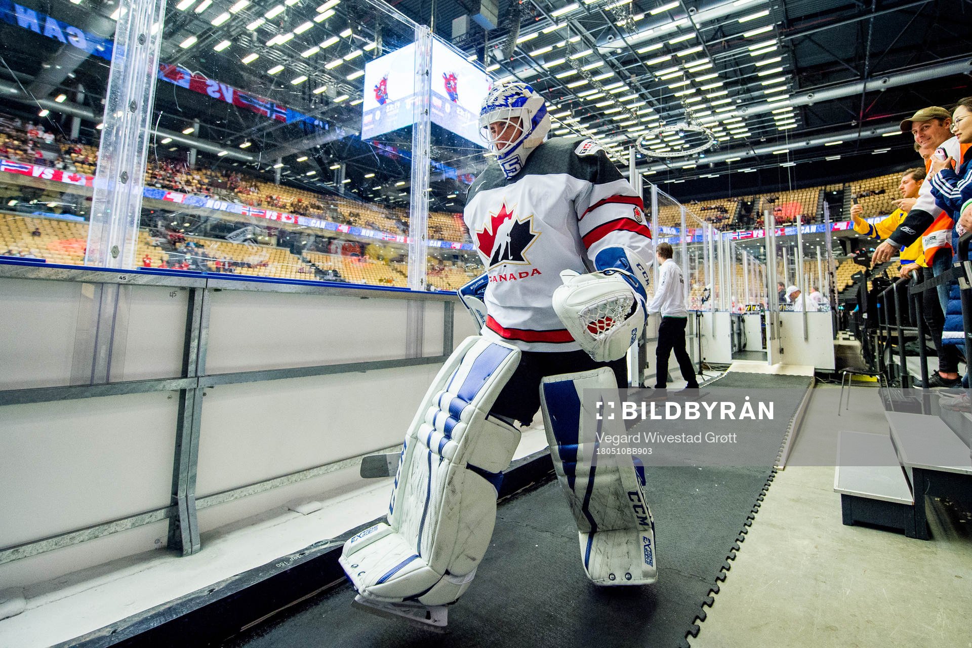 Goaltender Curtis McElhinney of Canada