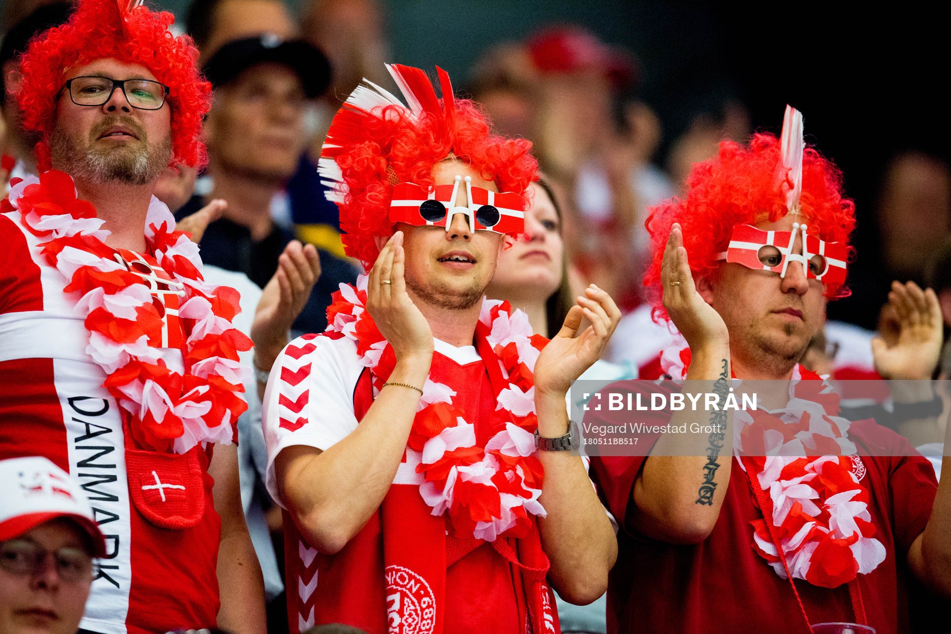 Fans of Denmark