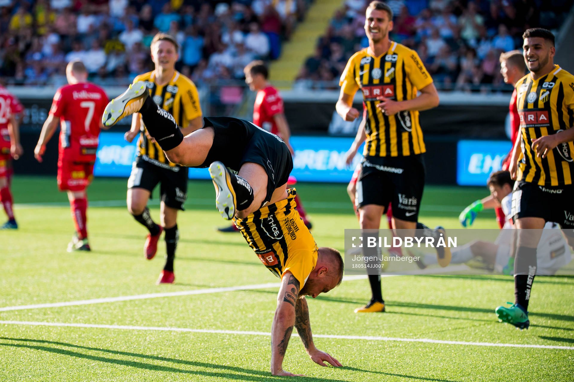 Häckens Alexander Faltsetas jublar