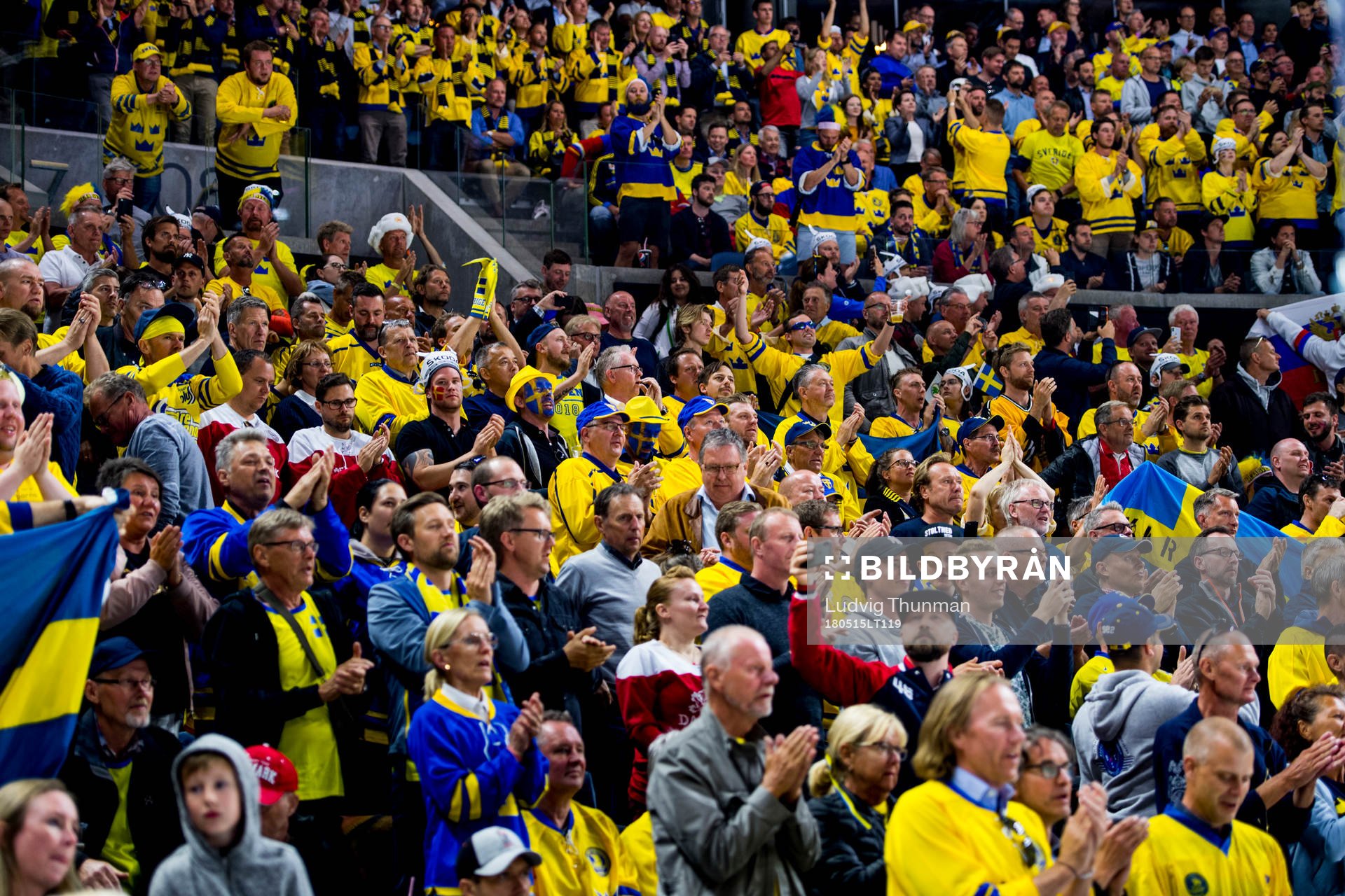 Svenska supportrar på läktaren