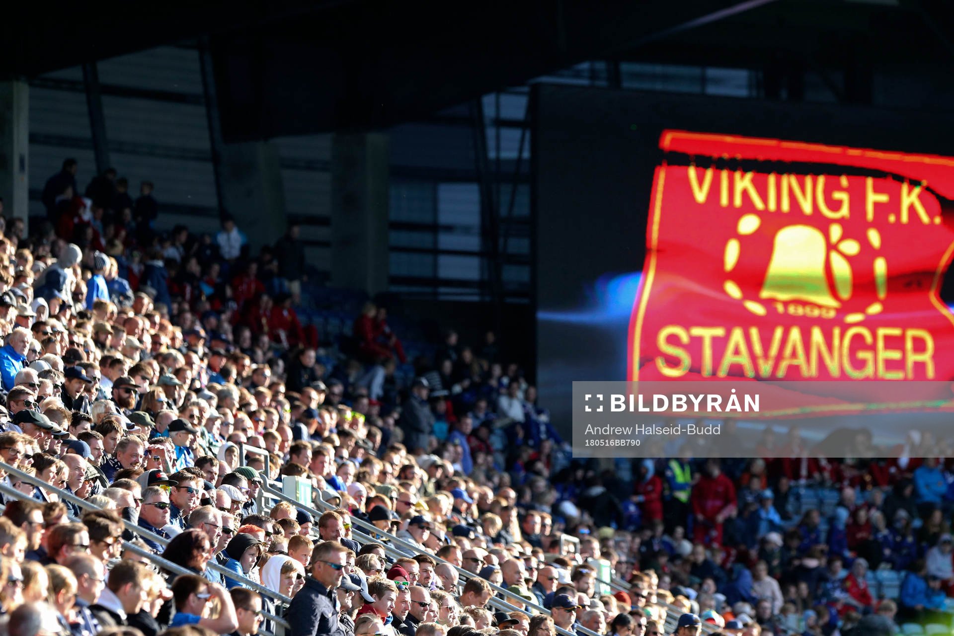 Viking supporters