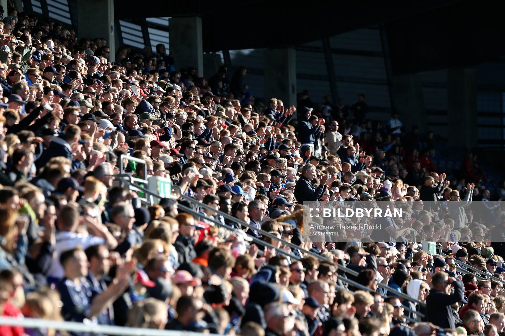 Viking supporters