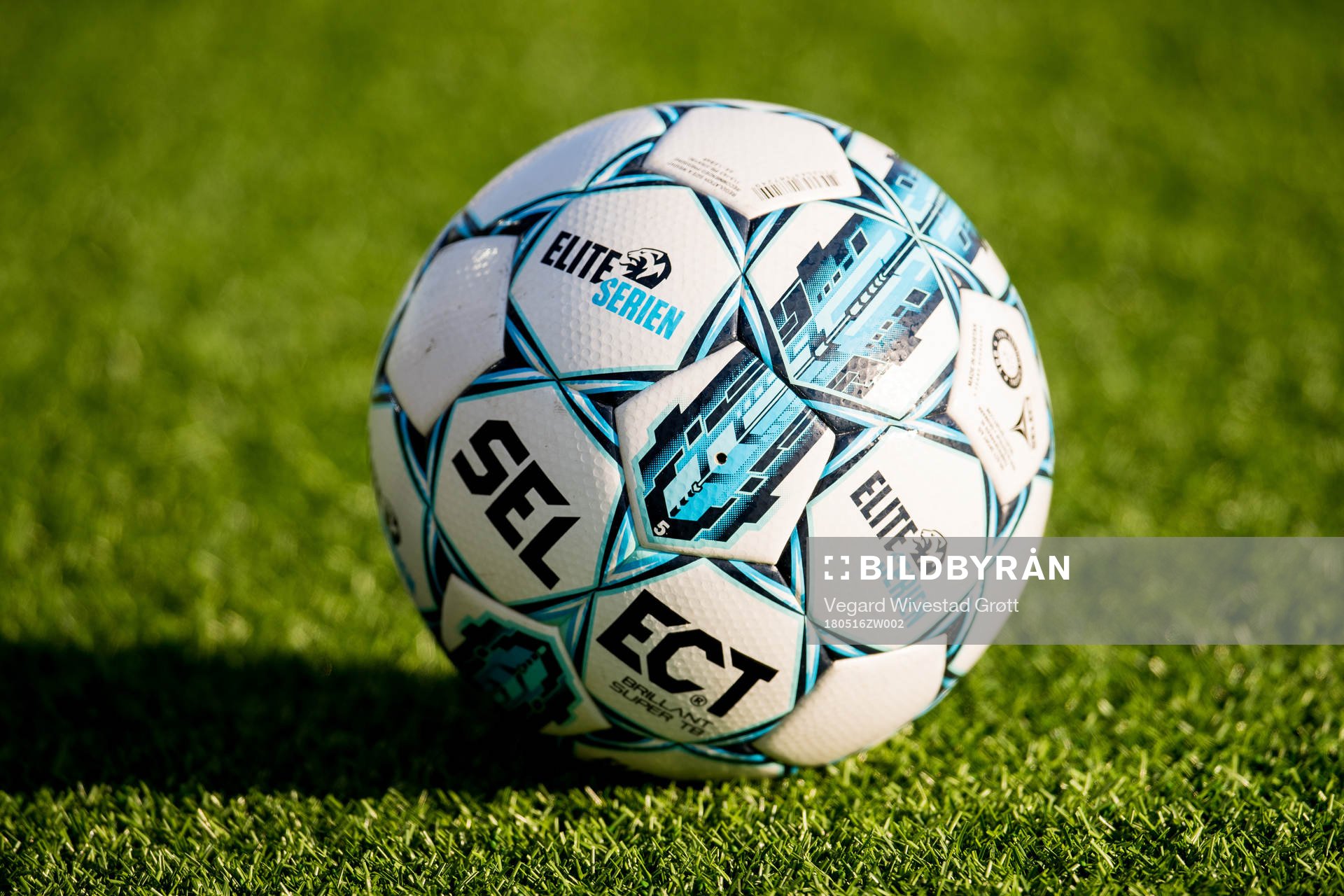 The official Select matchball