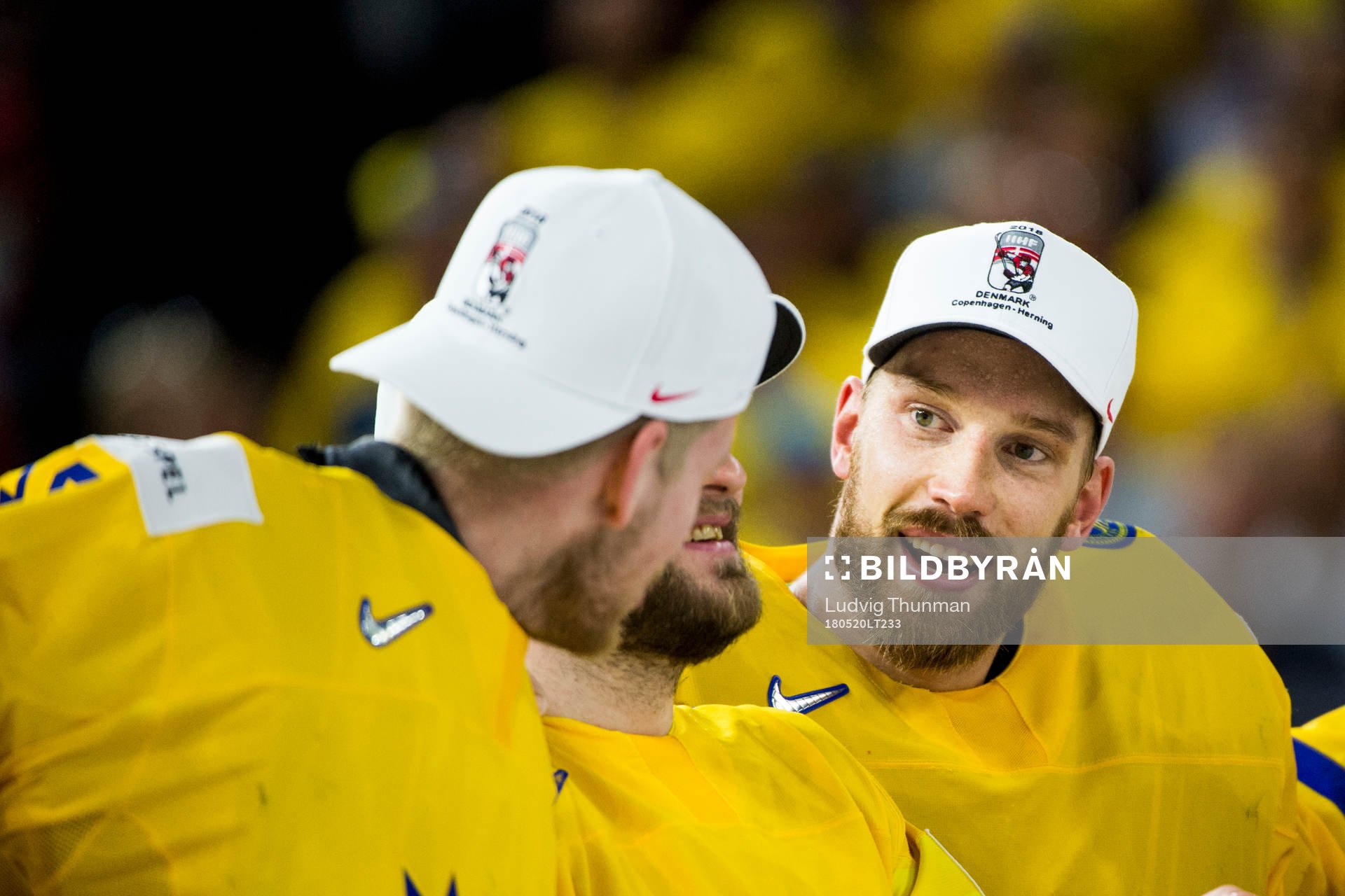 Sveriges målvakt Anders Nilsson