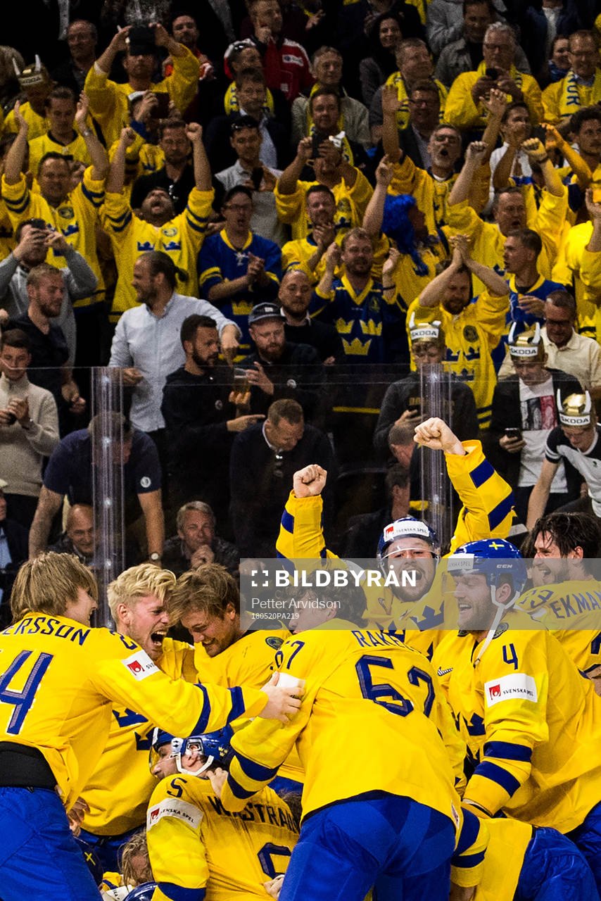 Sveriges spelare med Filip Forsberg (m) jublar med målvakt