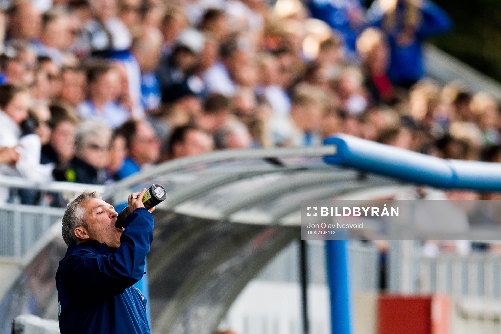 Kåre Ingebrigtsen, head coach of Rosenborg