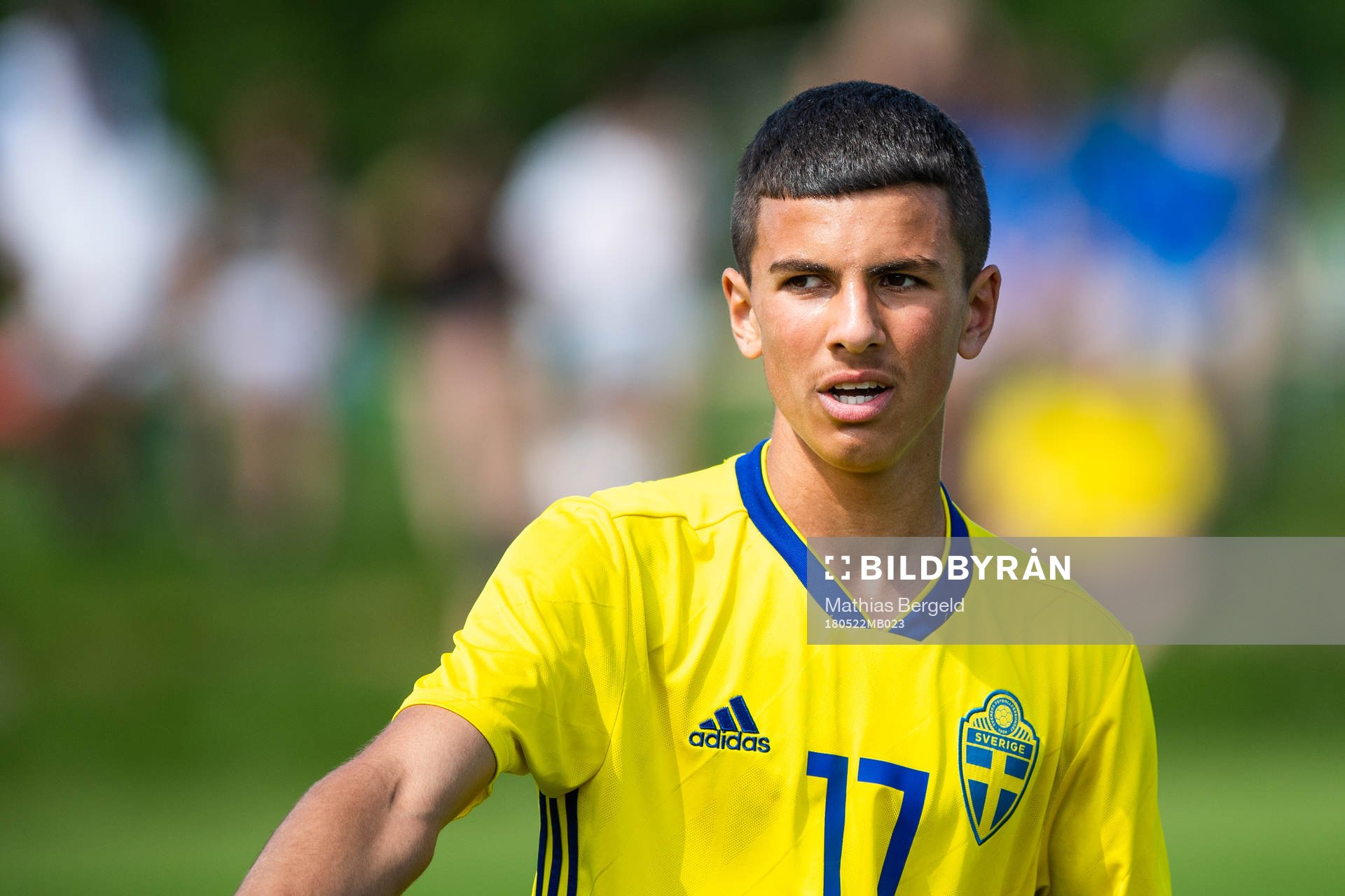 Sveriges Hussein Ali