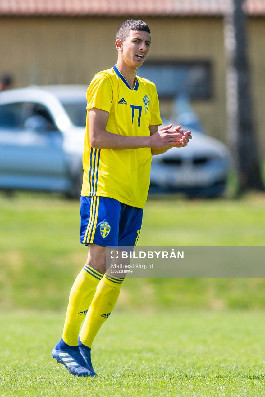 Sveriges Hussein Ali