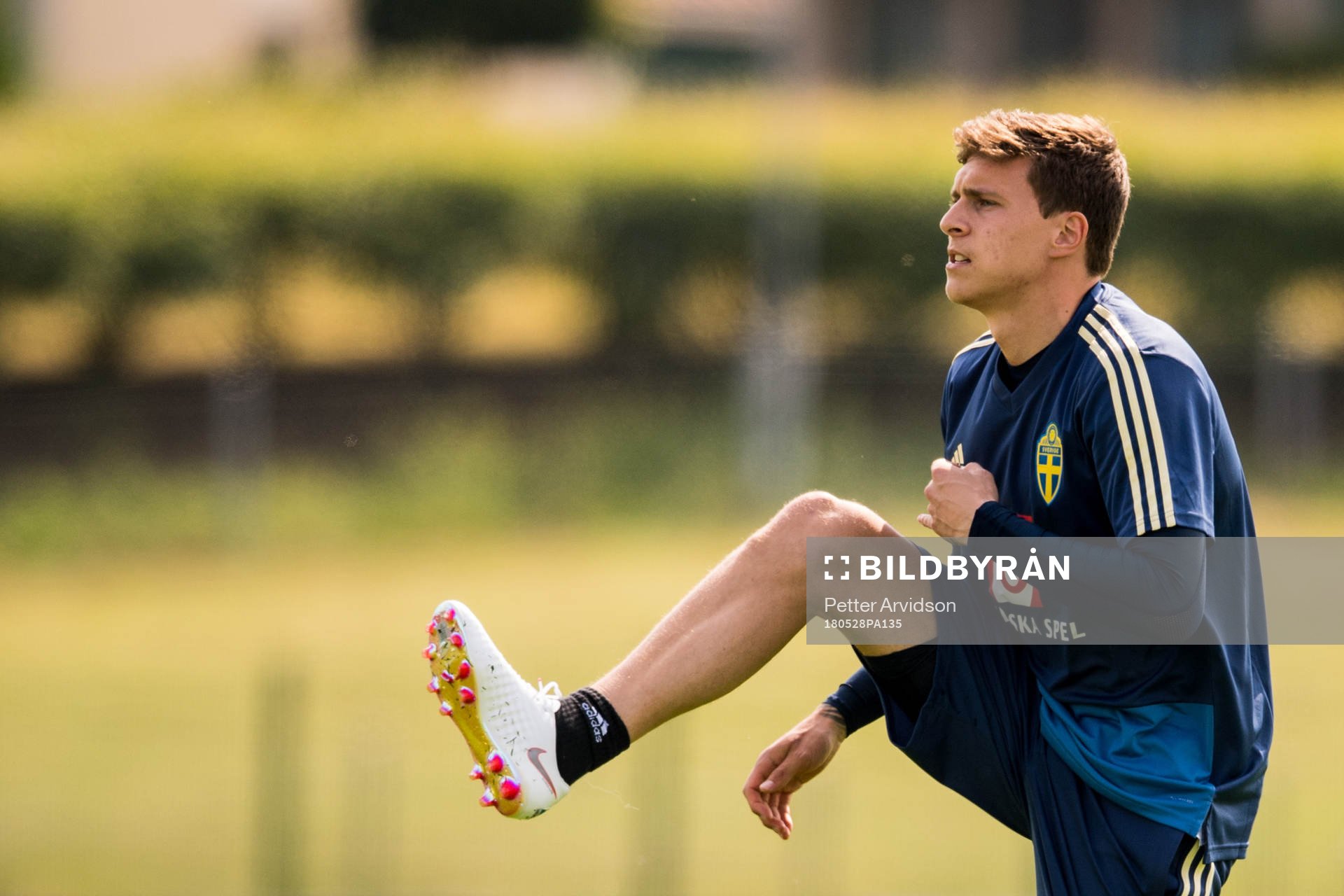 Victor Nilsson Lindelöf