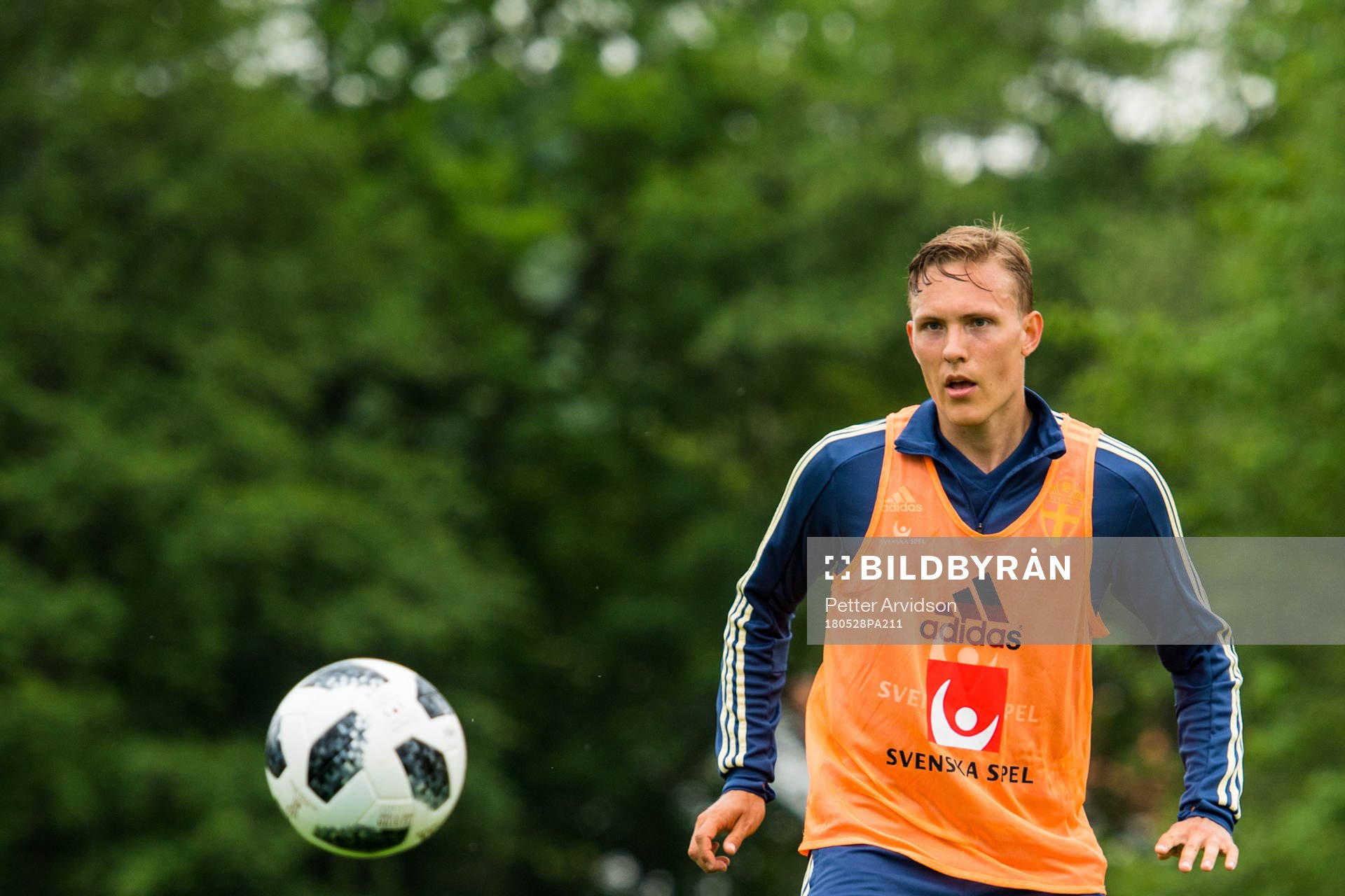 Ludwig Augustinsson