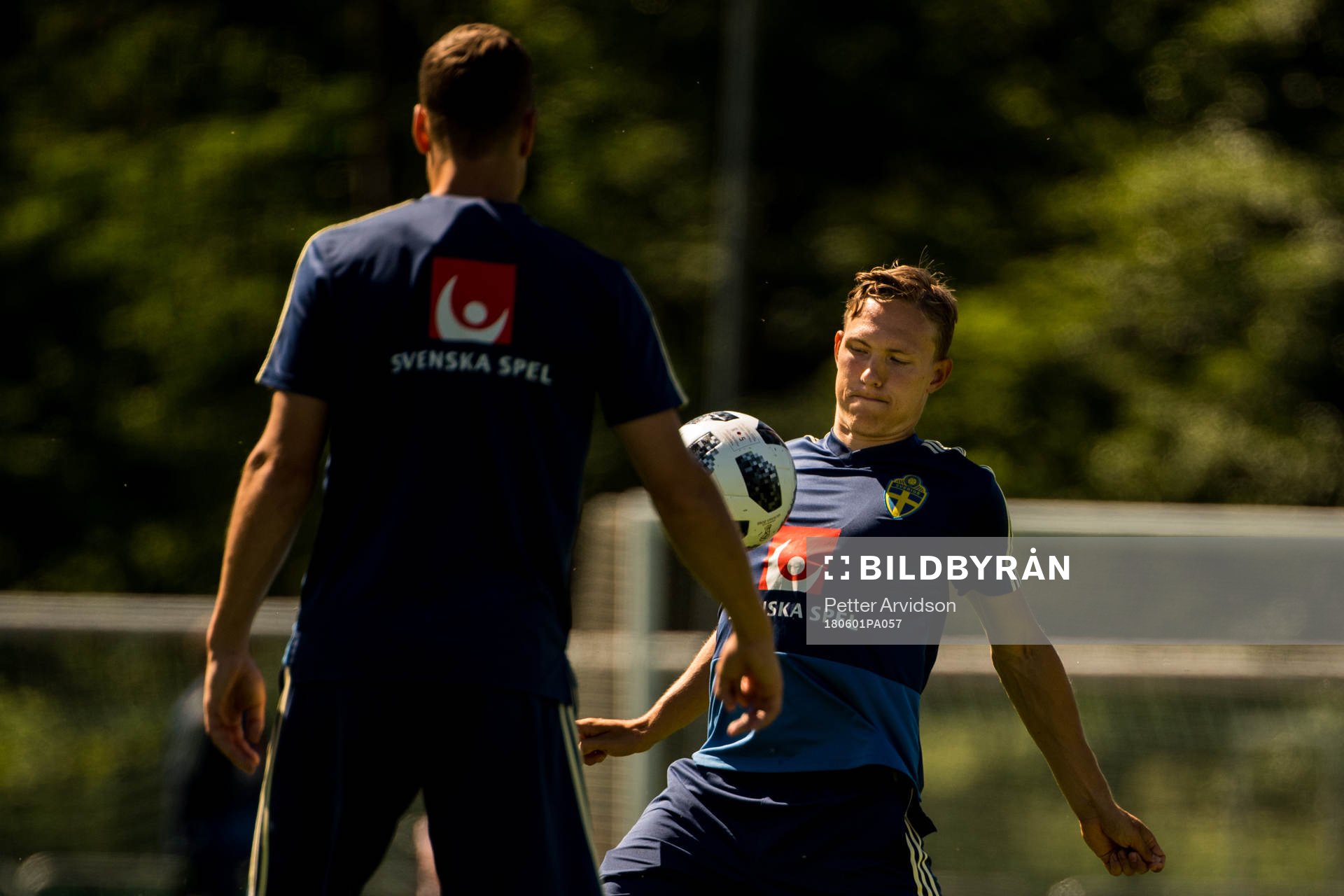 Ludwig Augustinsson