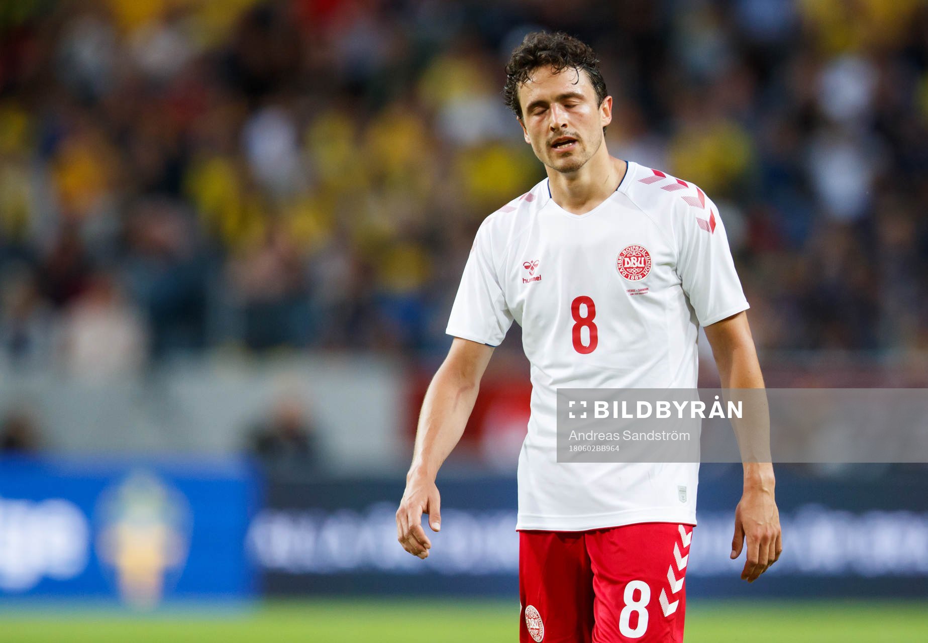 Danmarks Thomas Delaney deppar