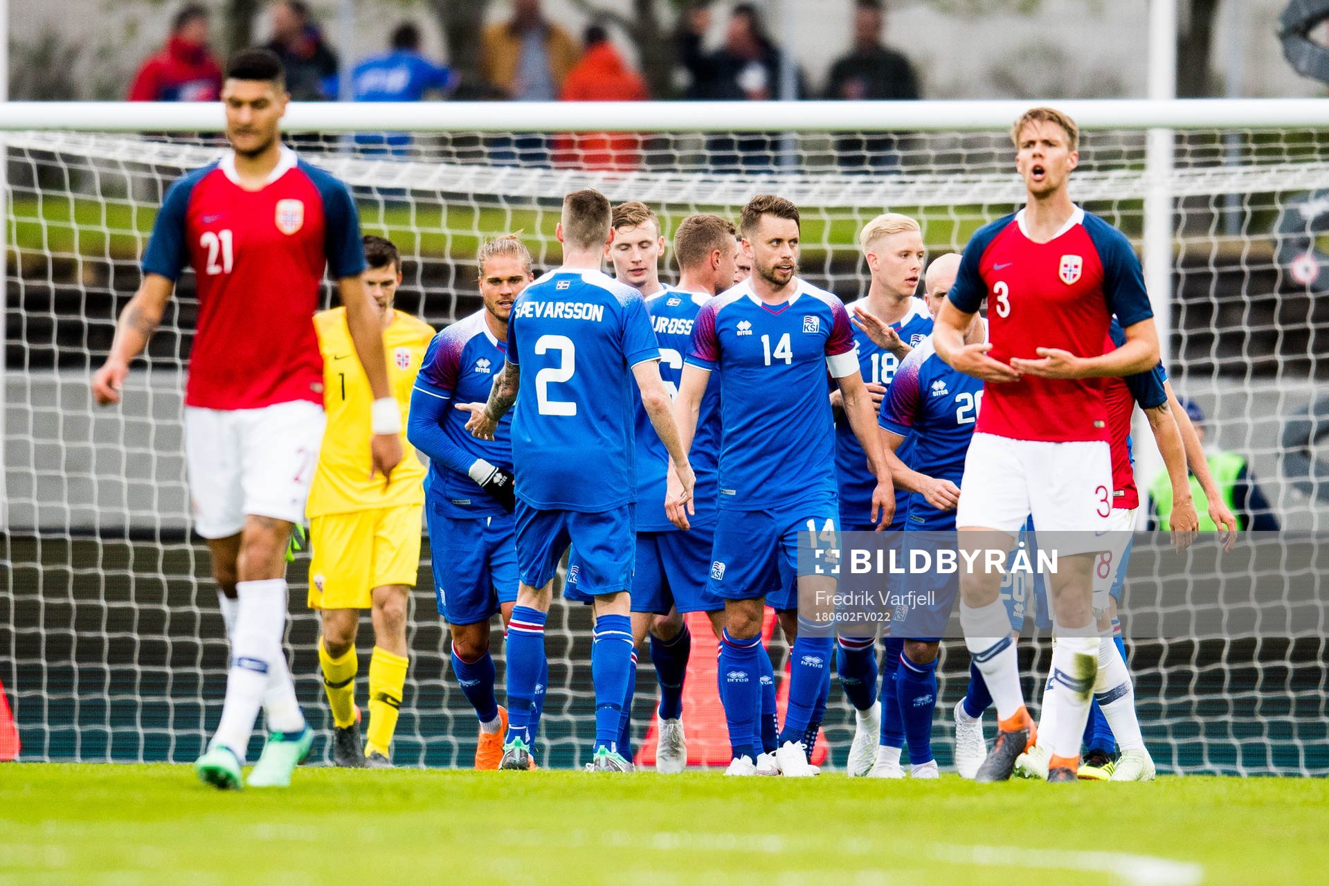 The players of Iceland celebrate the 1-1 goal