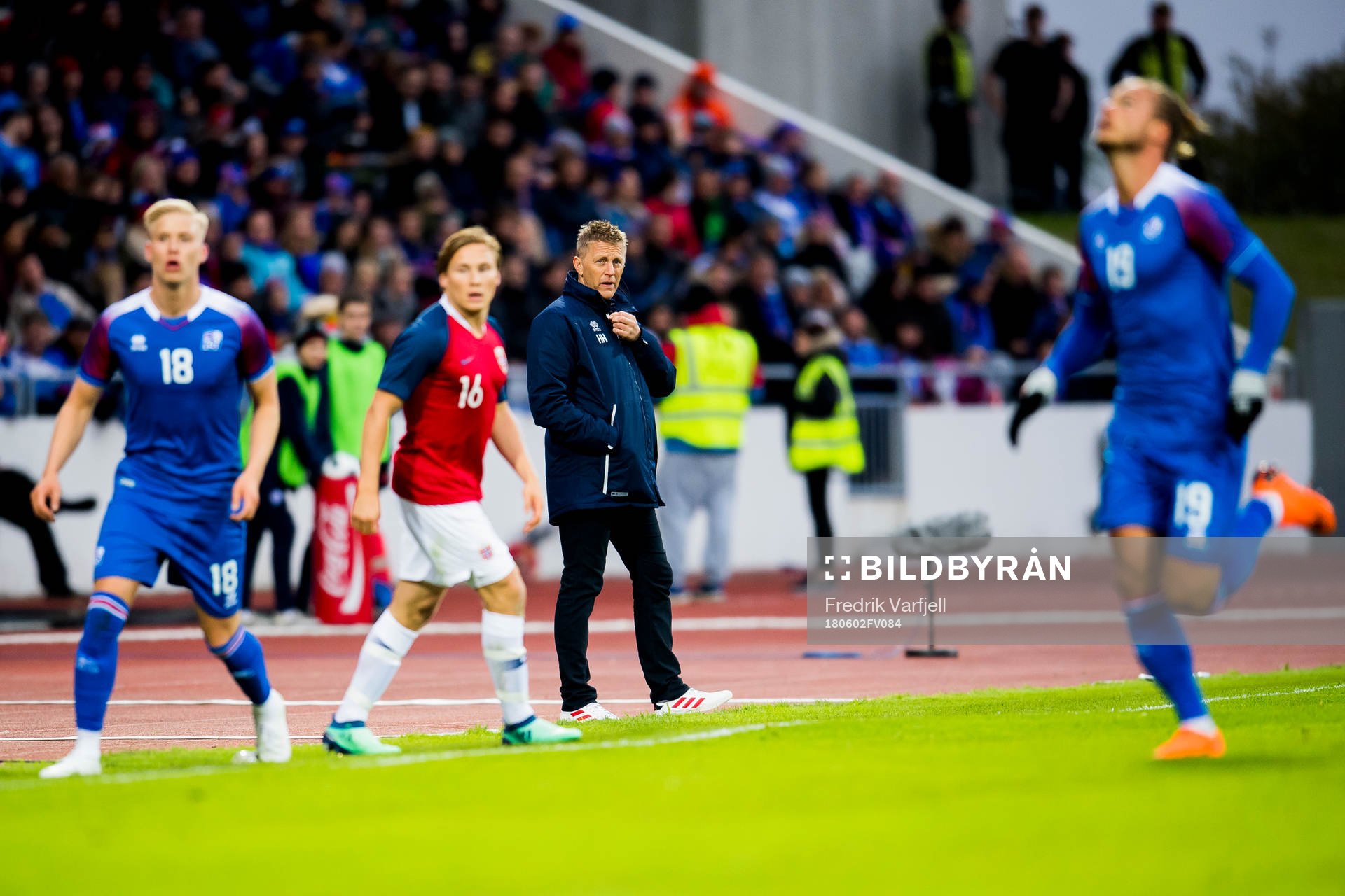 Heimir Hallgrímsson, head coach of Iceland