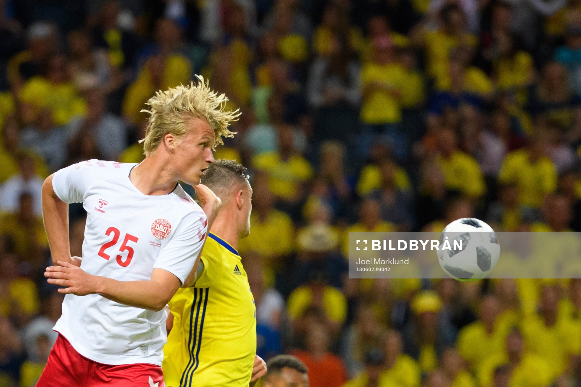 Danmarks Kasper Dolberg