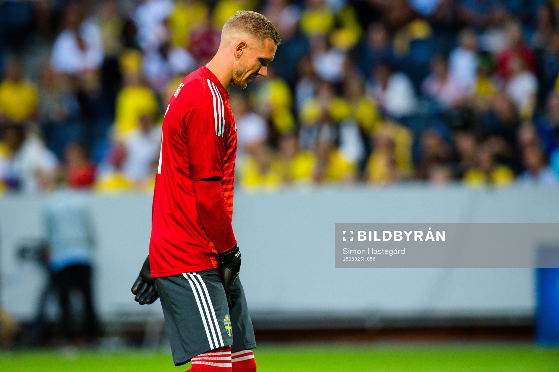 Sveriges målvakt Robin Olsen har ont