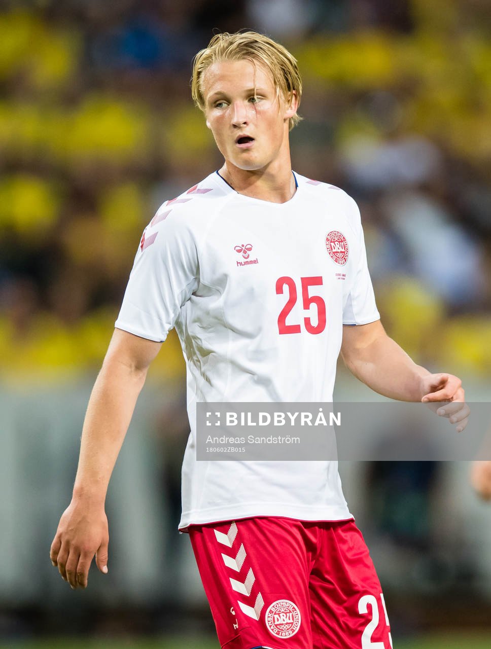Danmarks Kasper Dolberg