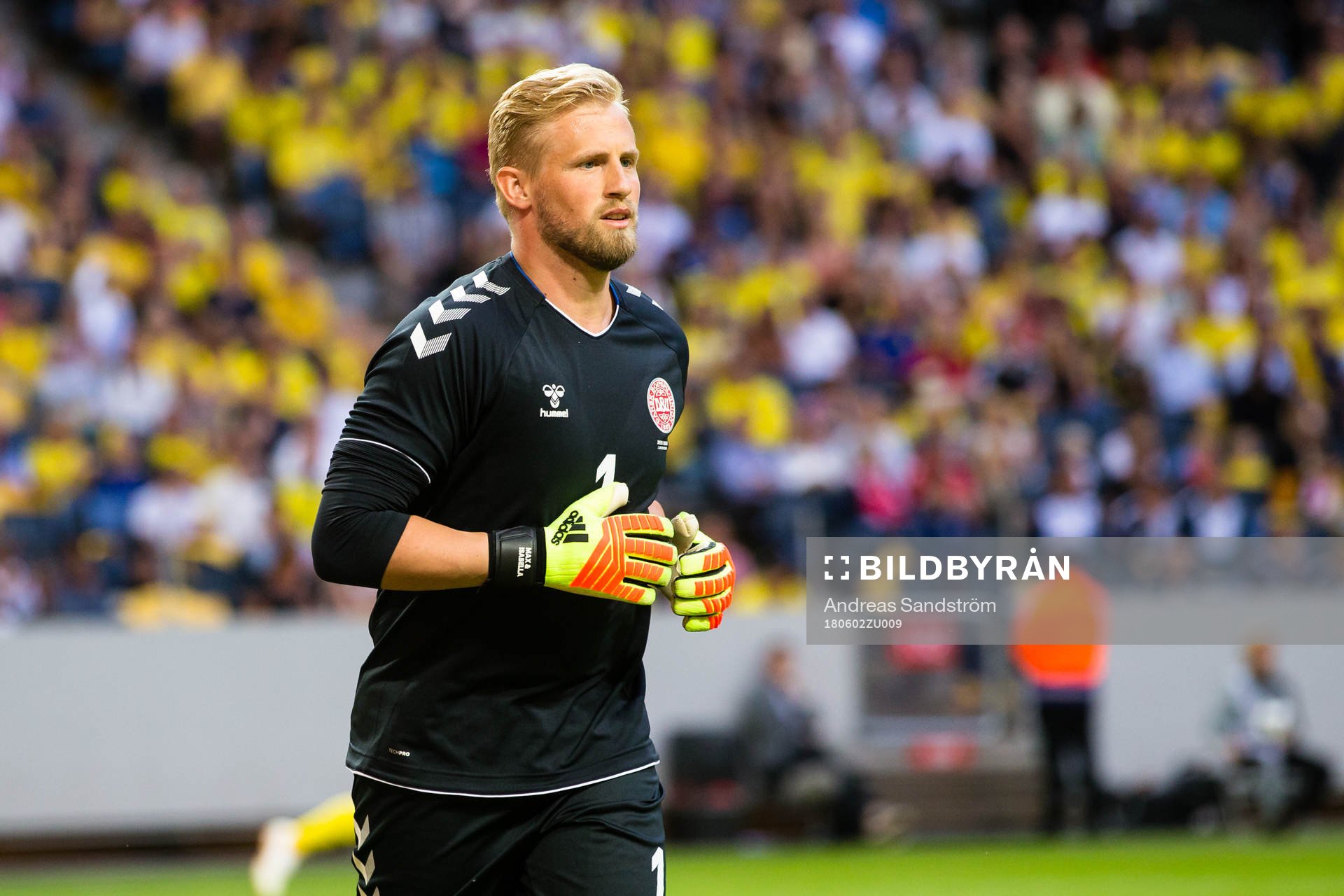 Danmarks målvakt Kasper Schmeichel
