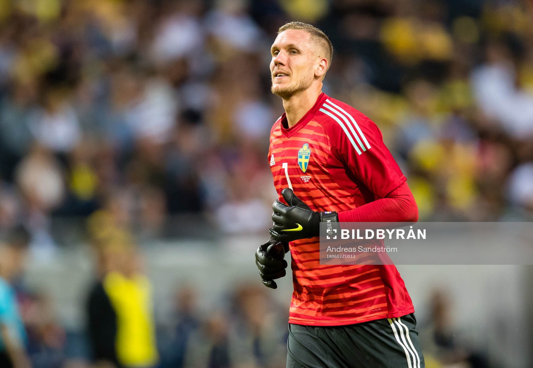 Sveriges målvakt Robin Olsen