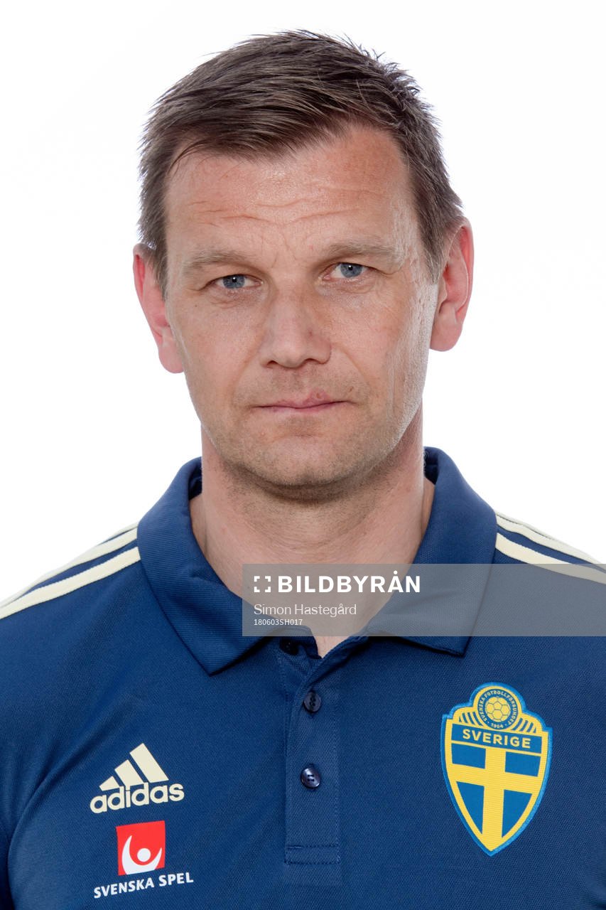 Andreas Pettersson, Assisterande förbundskapten i Sveriges