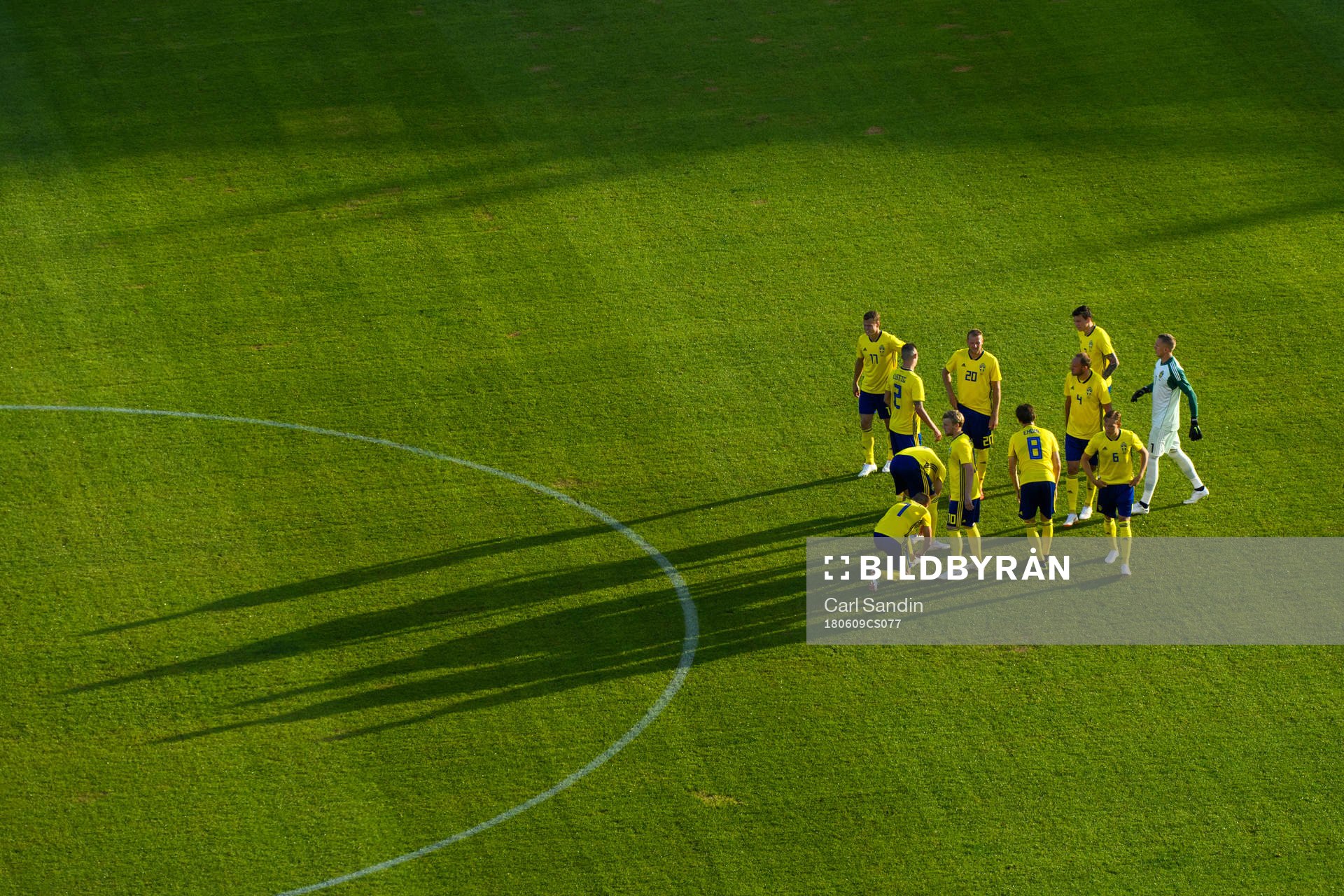 The Swedish players gather