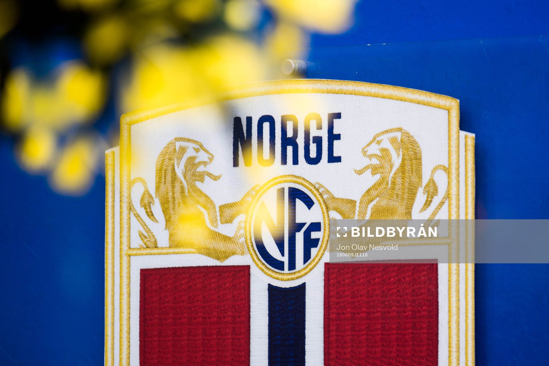 The official emblem of Norway