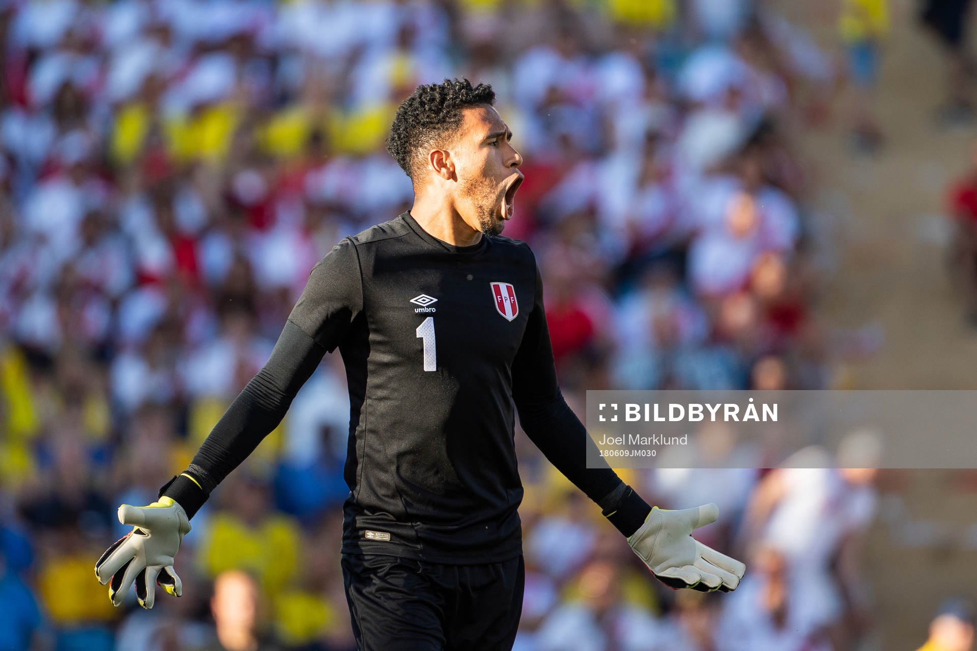 goalkeeper Pedro Gallese of Peru reacts