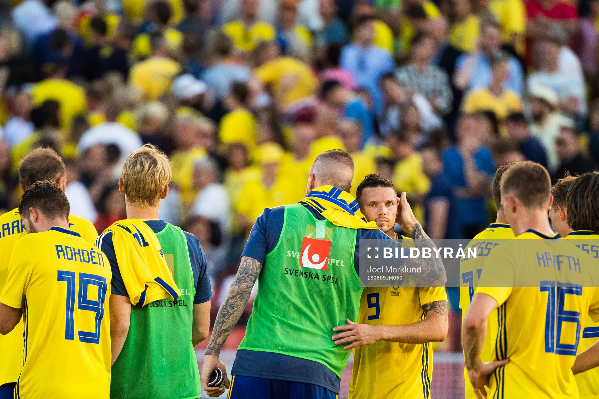 Marcus Berg of Sweden with team mates