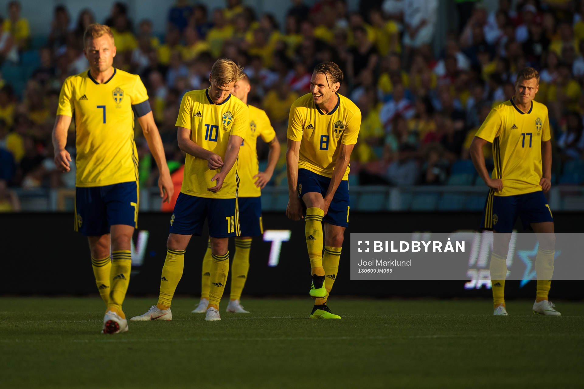 Sebastian Larsson, Emil Forsberg, Albin Ekdal and Viktor