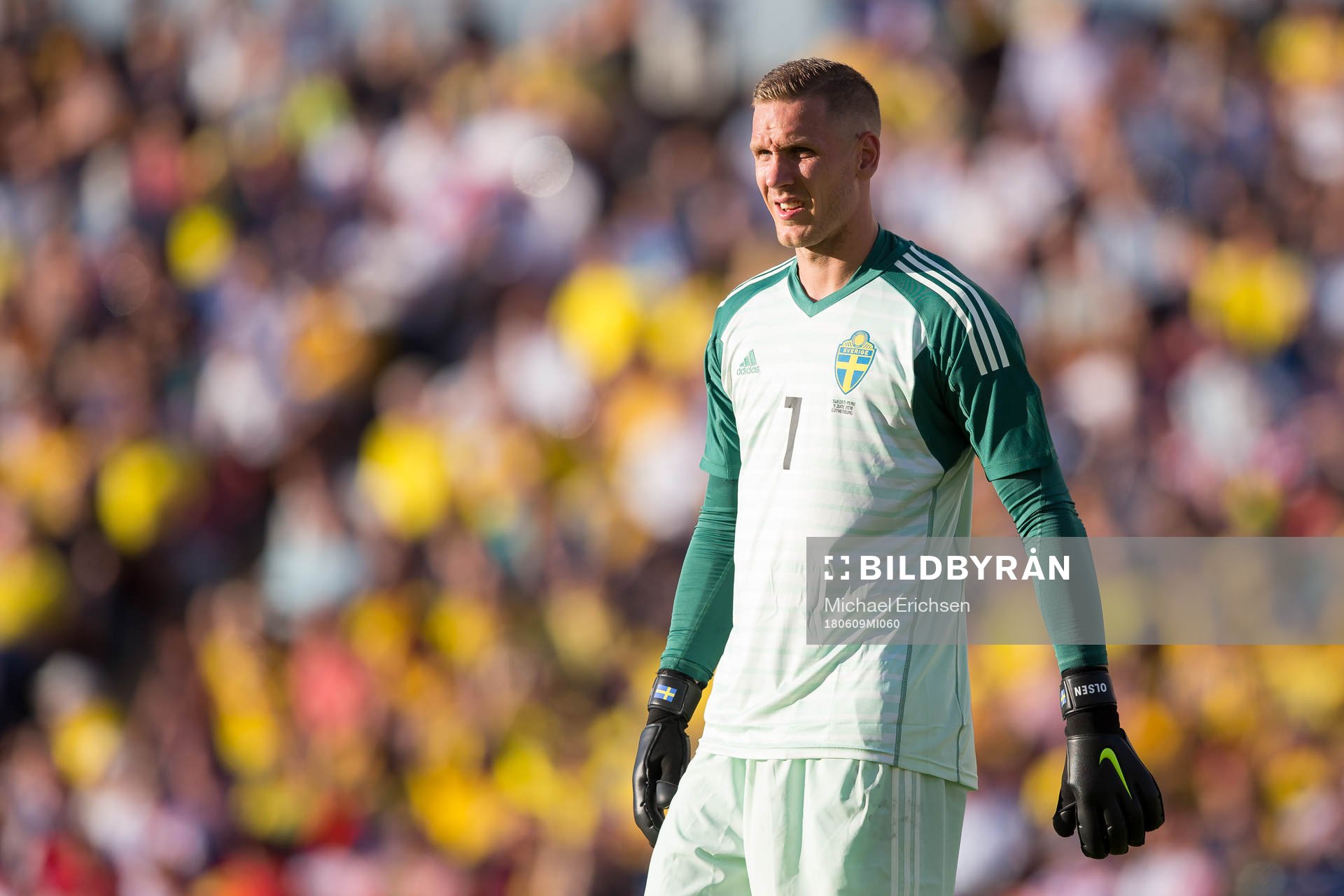 Goalkeeper Robin Olsen of Sweden