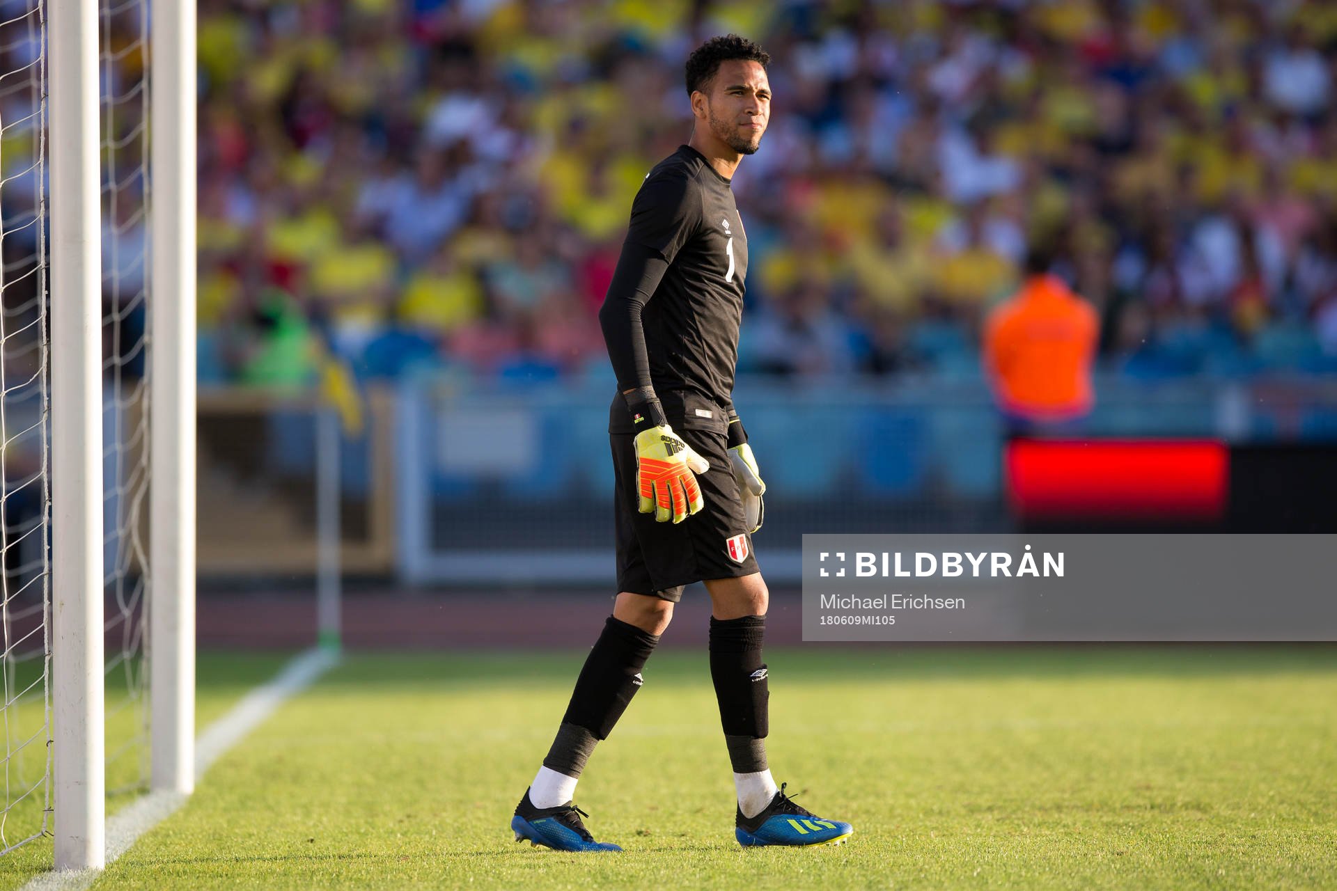 Goalkeeper Pedro Gallese of Peru