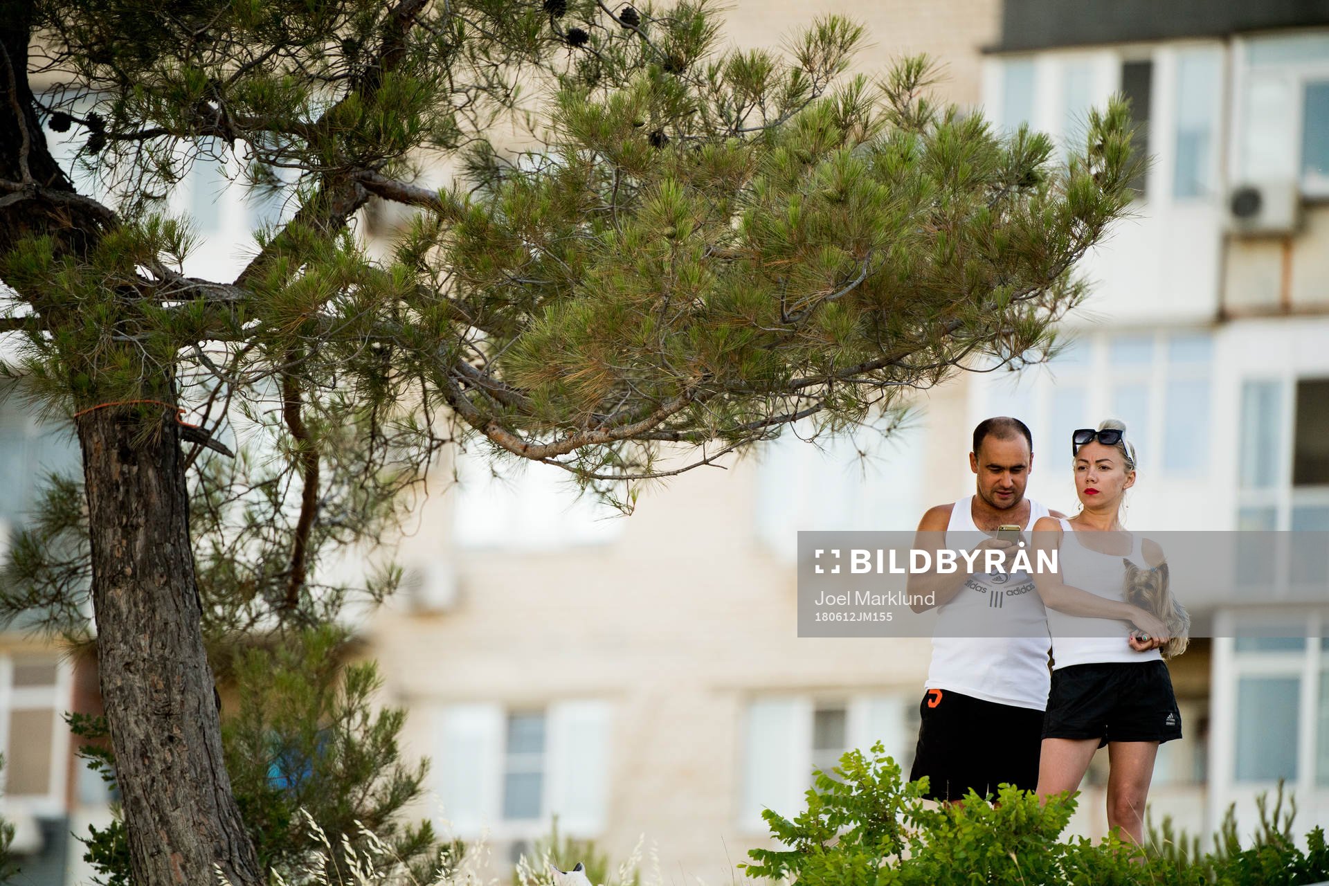 A couple following the Swedish national football team