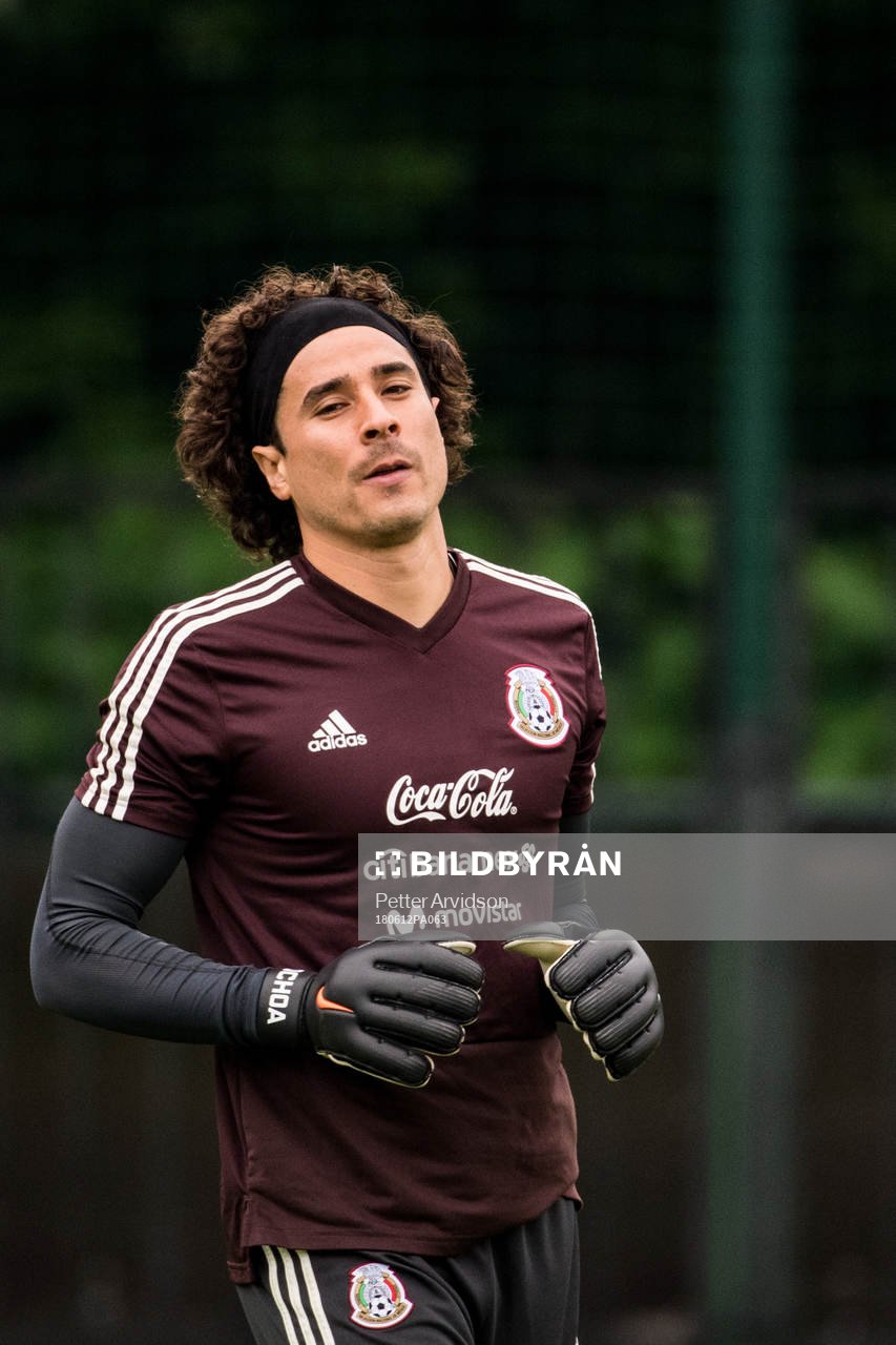 Goalkeeper Guillermo Ochoa of Mexico