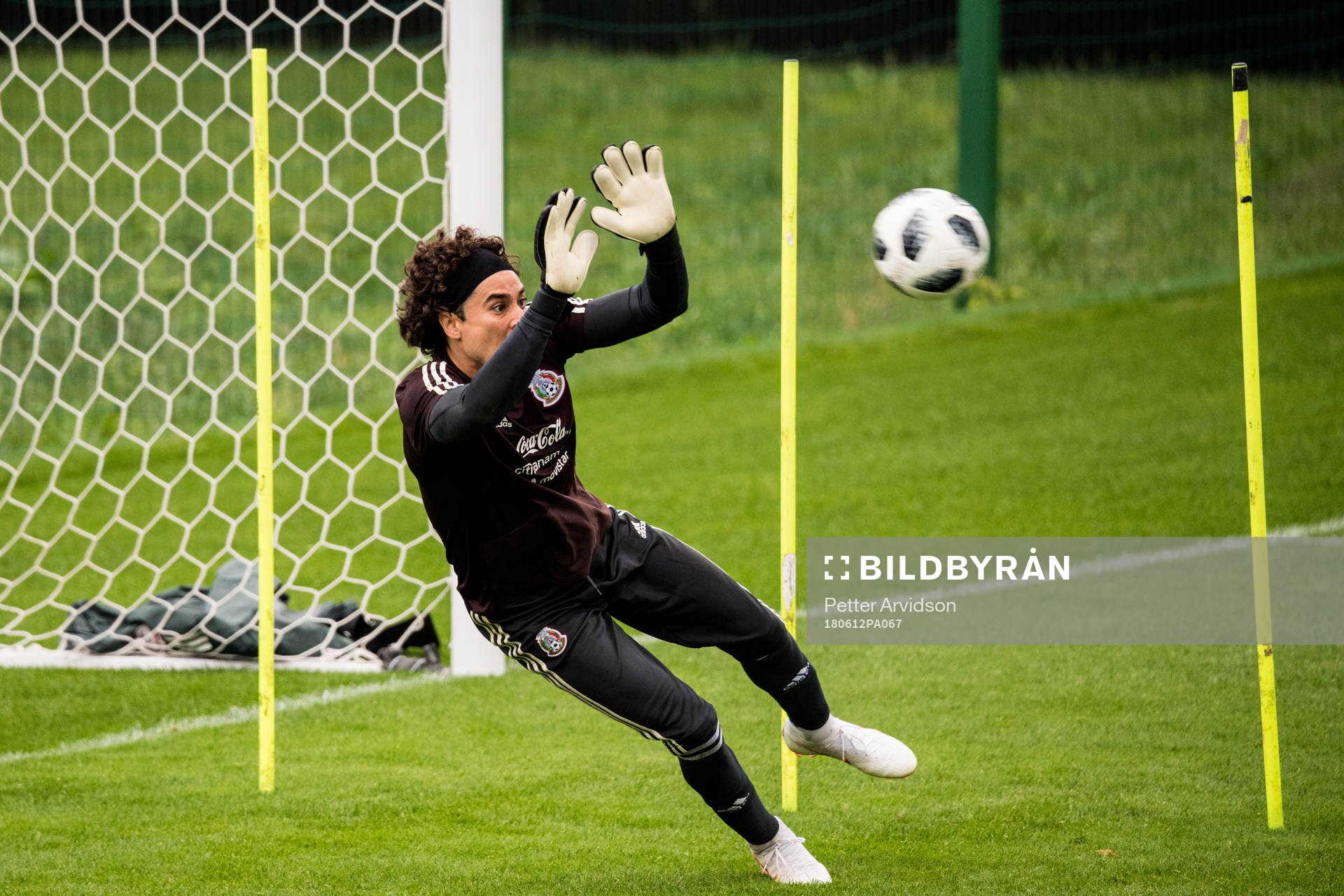 Goalkeeper Guillermo Ochoa of Mexico