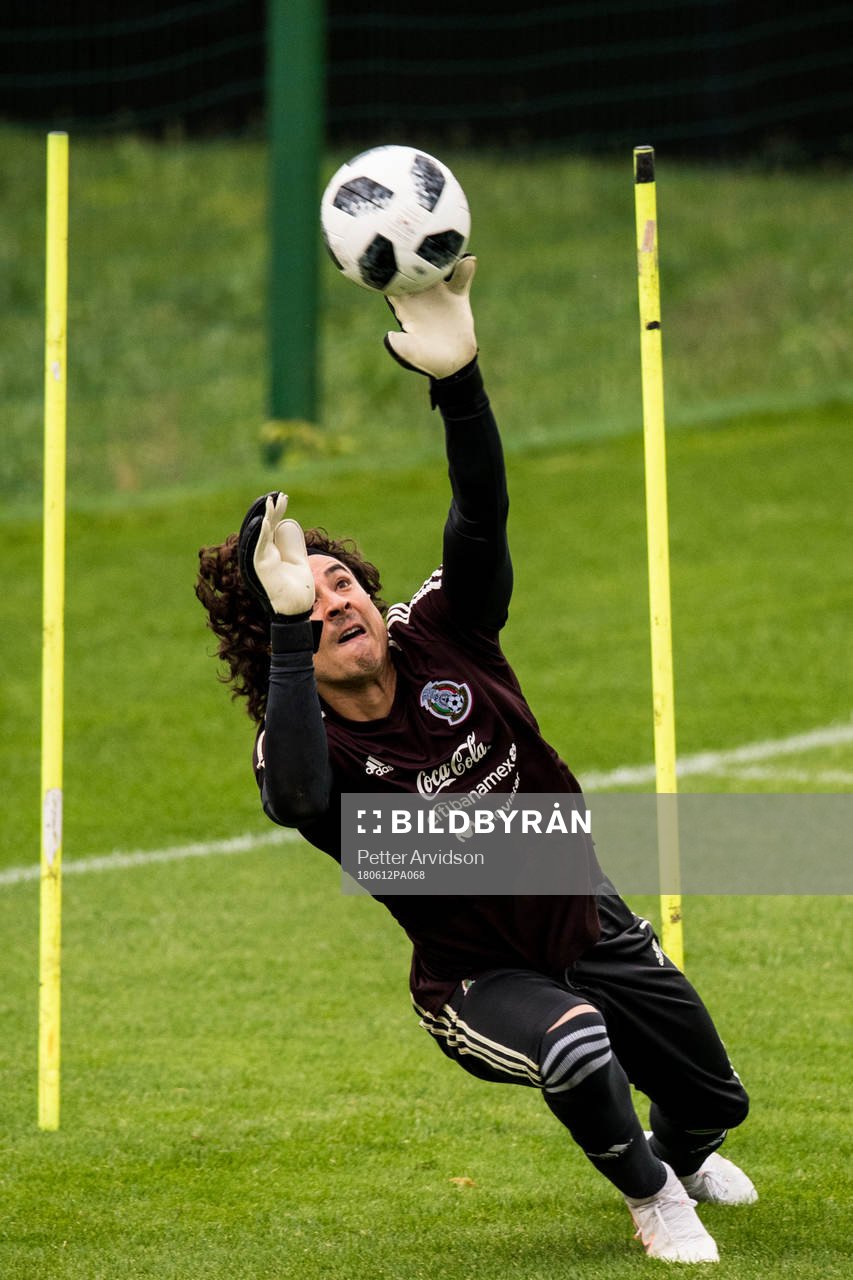 Goalkeeper Guillermo Ochoa of Mexico