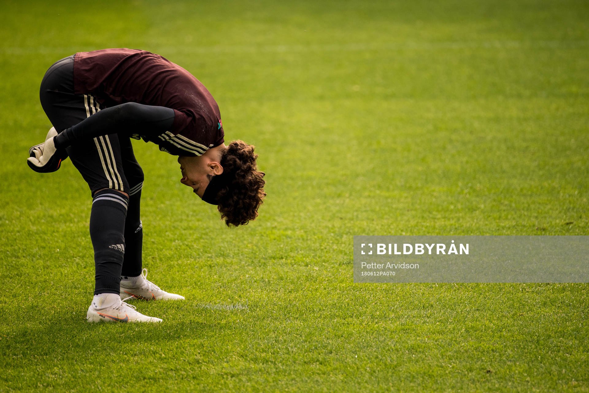 Goalkeeper Guillermo Ochoa of Mexico
