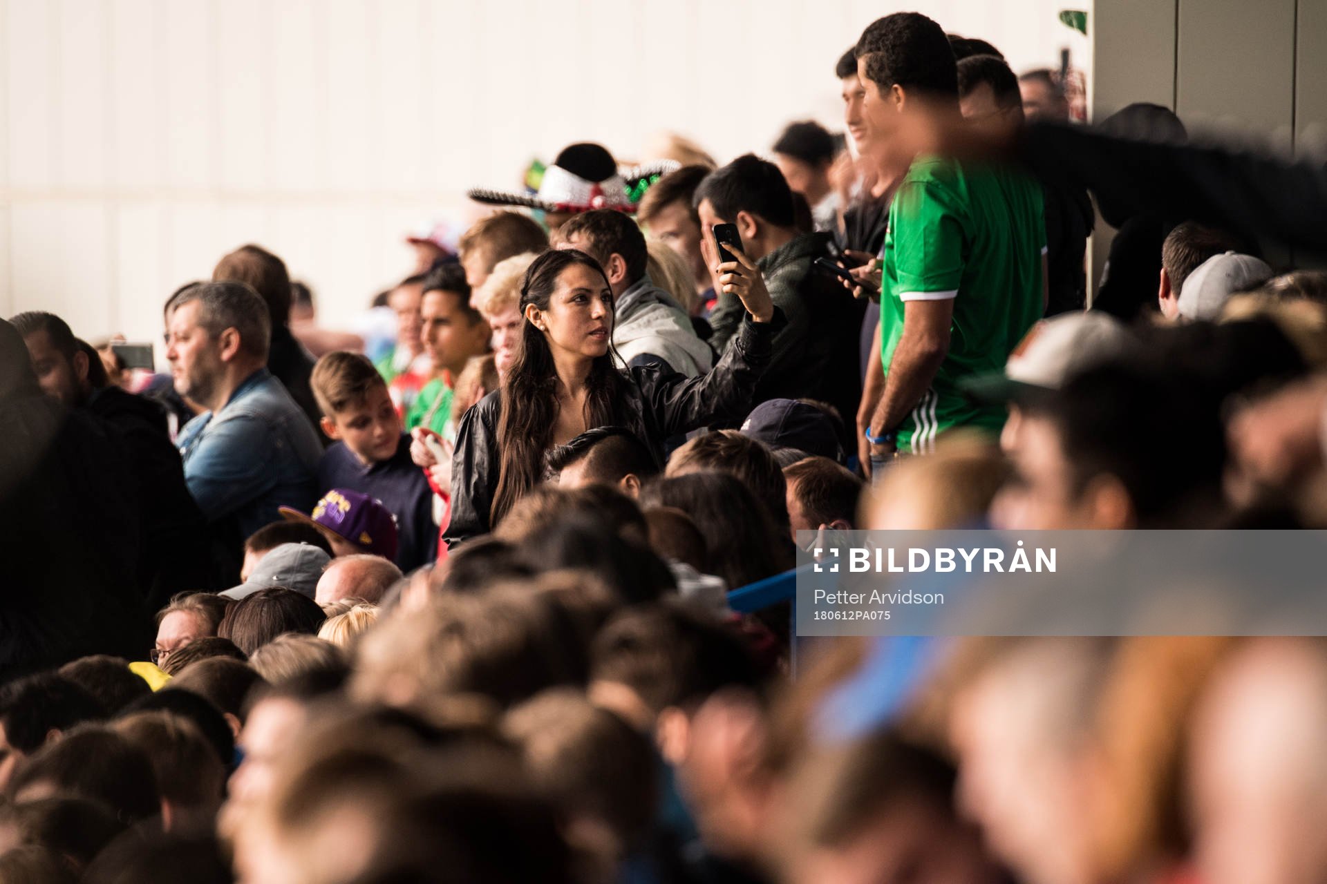 Fans in the stands