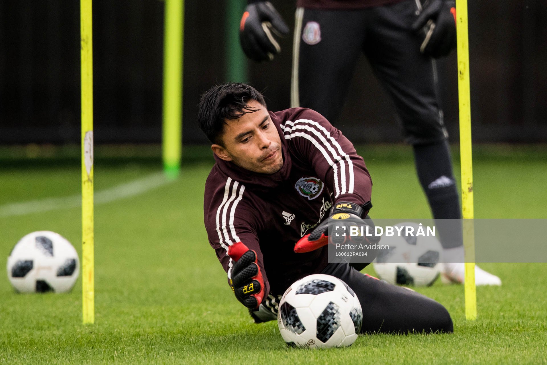 Goalkeeper Alfredo Talavera of Mexico