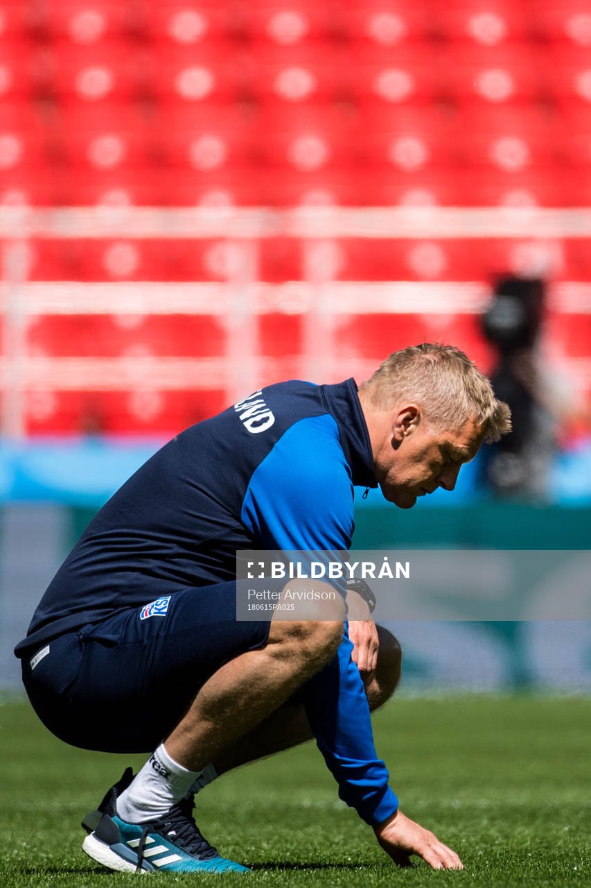 Heimir Hallgrimsson, Head coach of Iceland