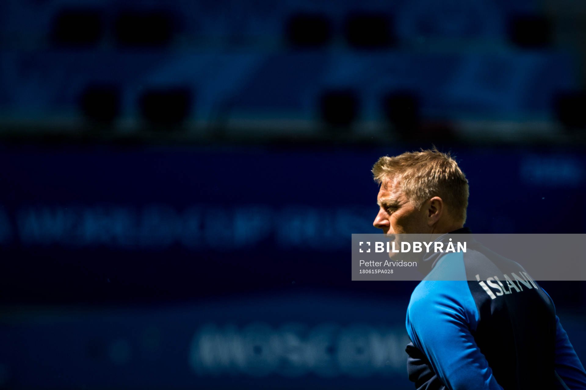 Heimir Hallgrimsson, Head coach of Iceland
